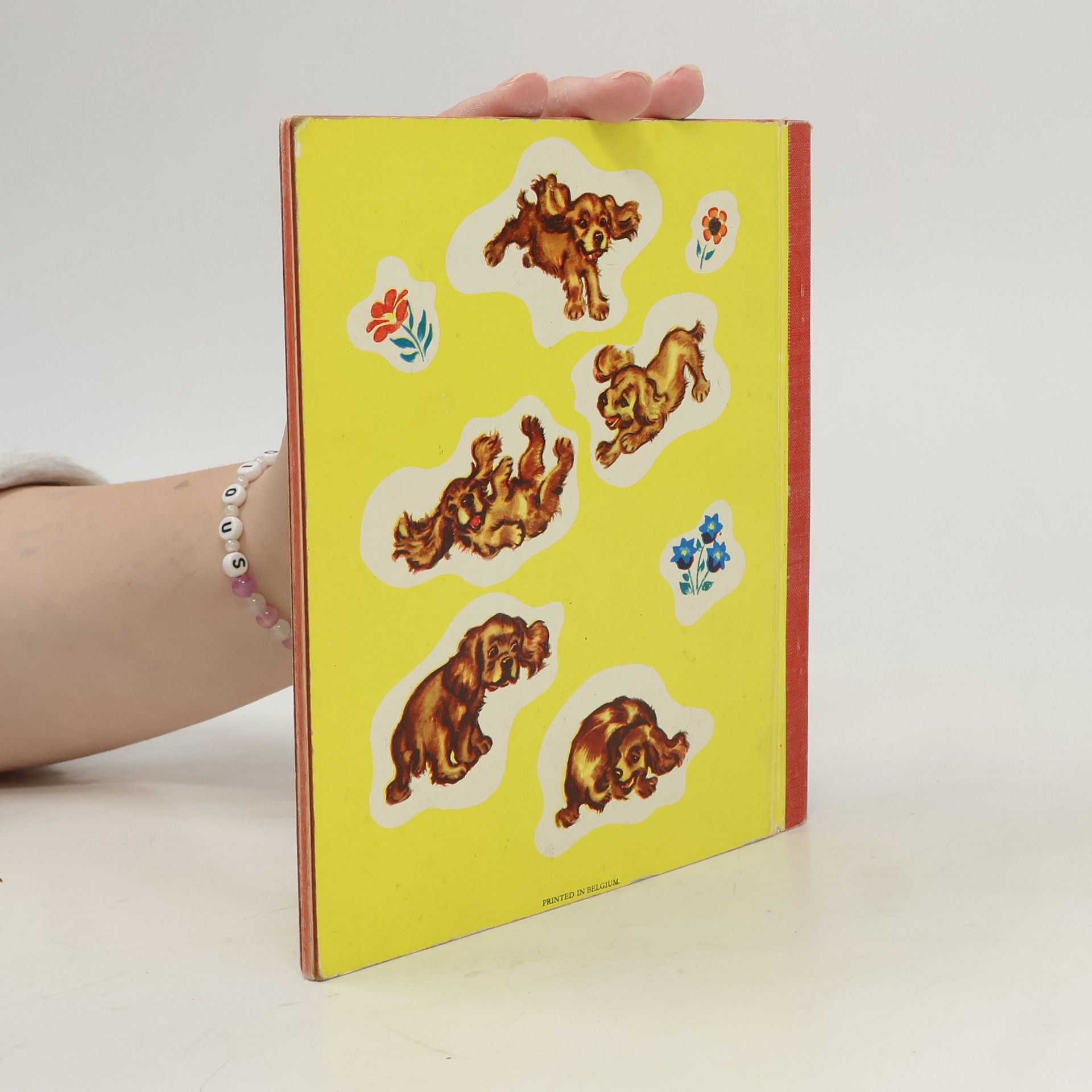 Autorenkollektiv Juppi das lustige Dackelbuch