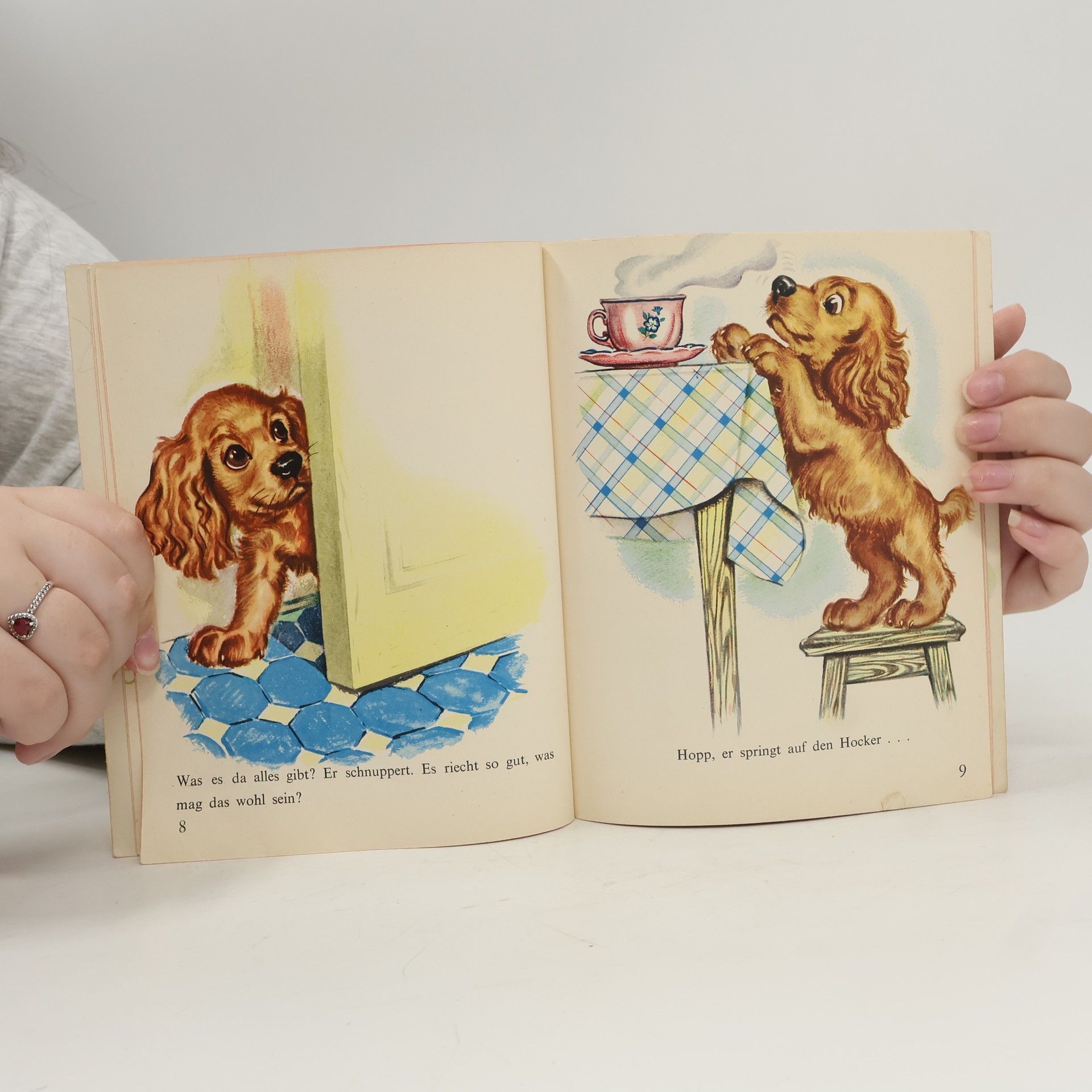 Autorenkollektiv Juppi das lustige Dackelbuch