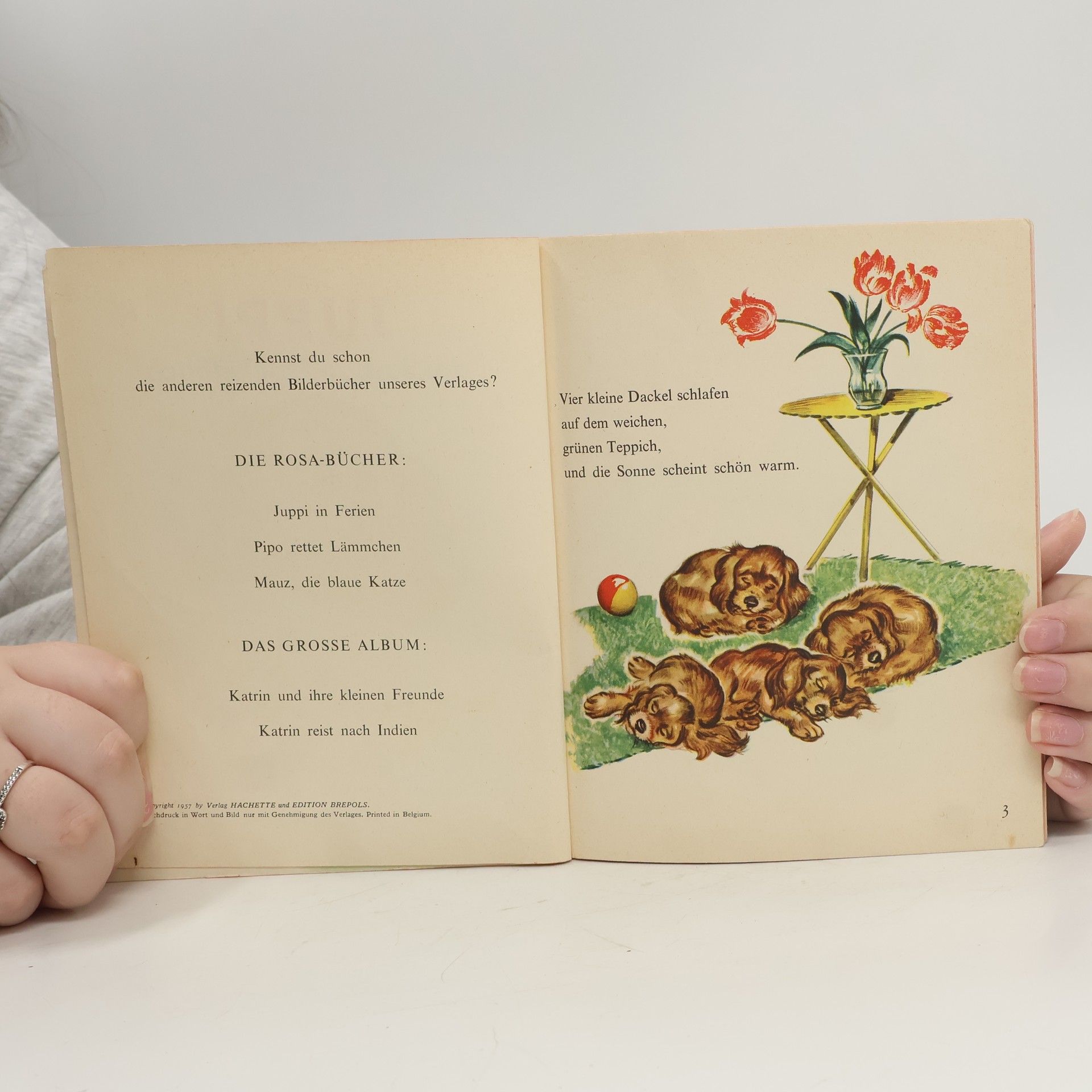 Autorenkollektiv Juppi das lustige Dackelbuch
