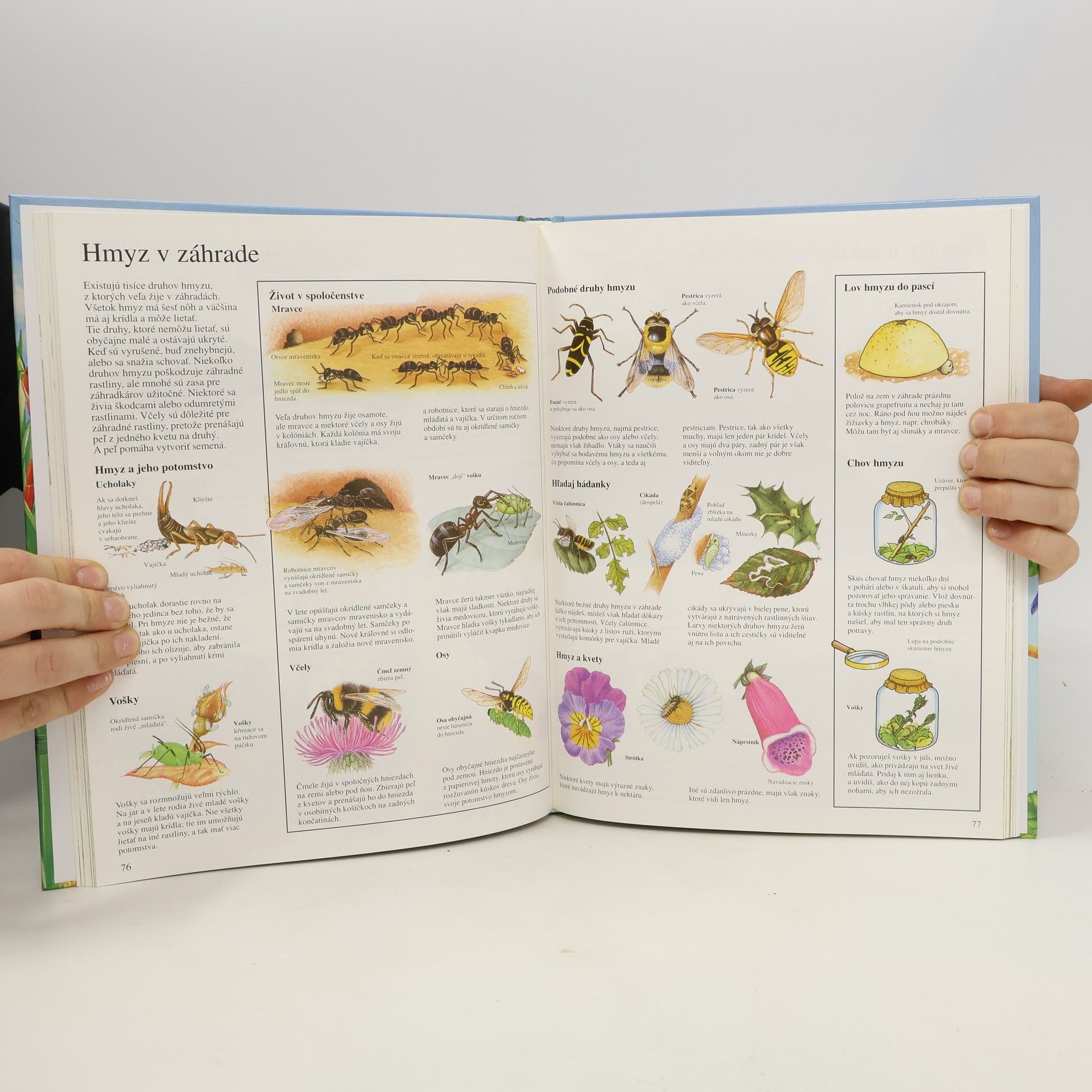 Alžbeta Havranová Príroda okolo nás