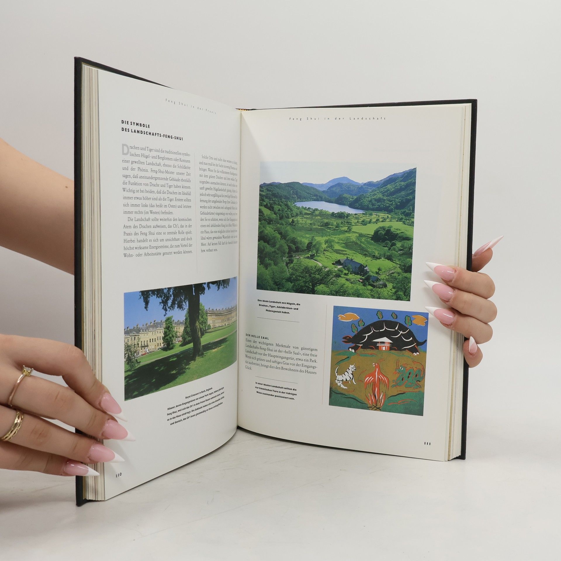 Lillian Too Das grosse Buch des Feng-Shui