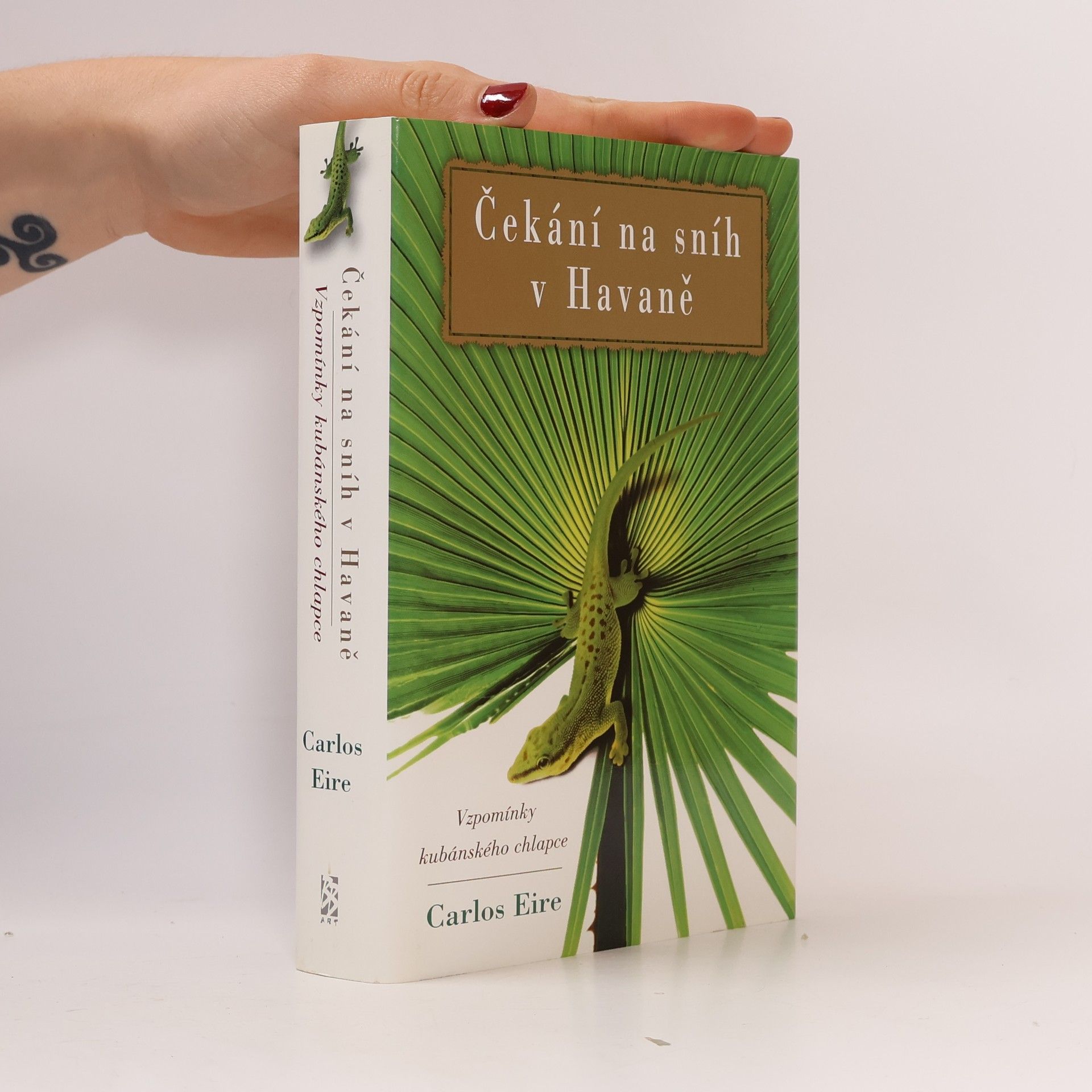 Carlos M. N. Eire Čekání na sníh v Havaně