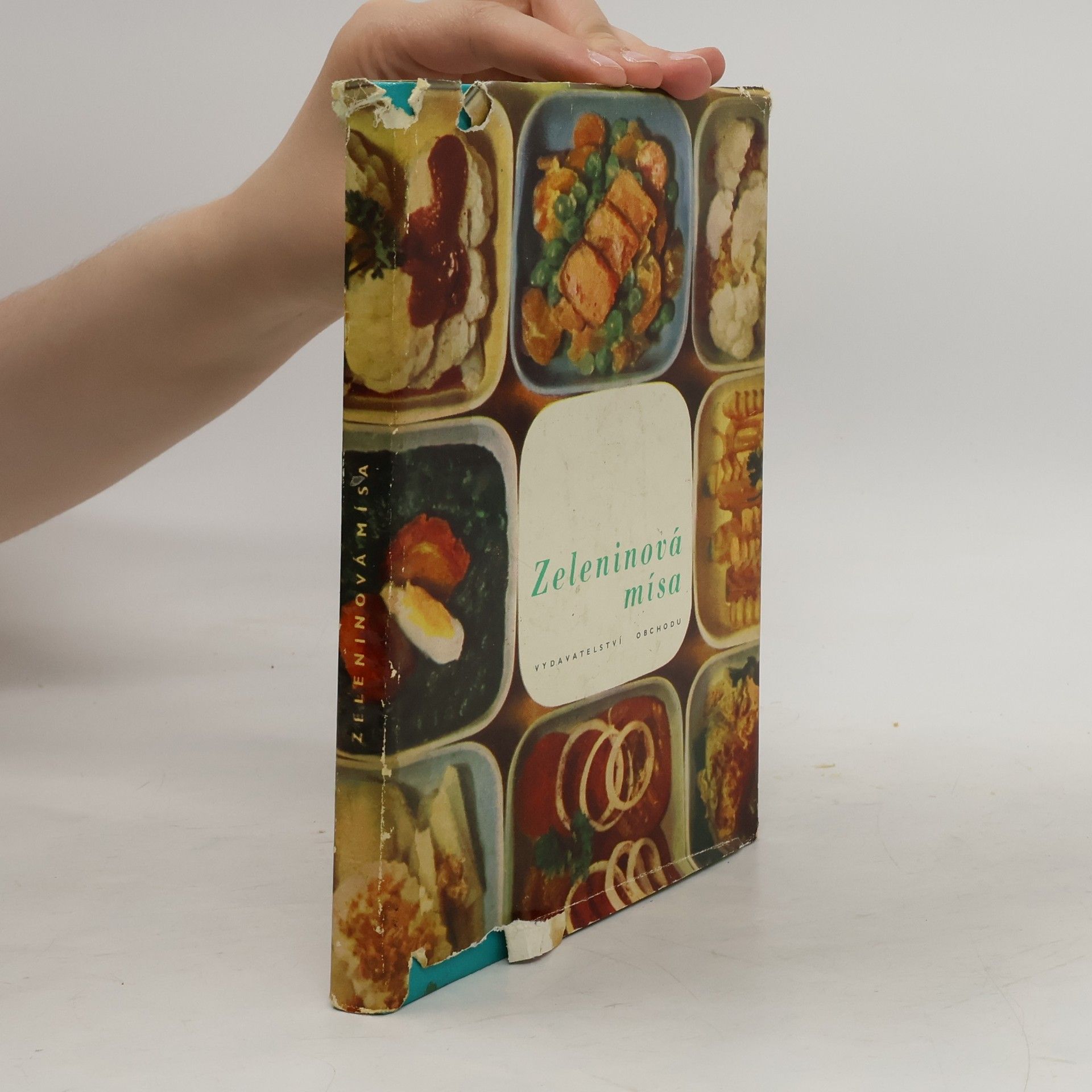 Collectif d'auteurs Zeleninová mísa