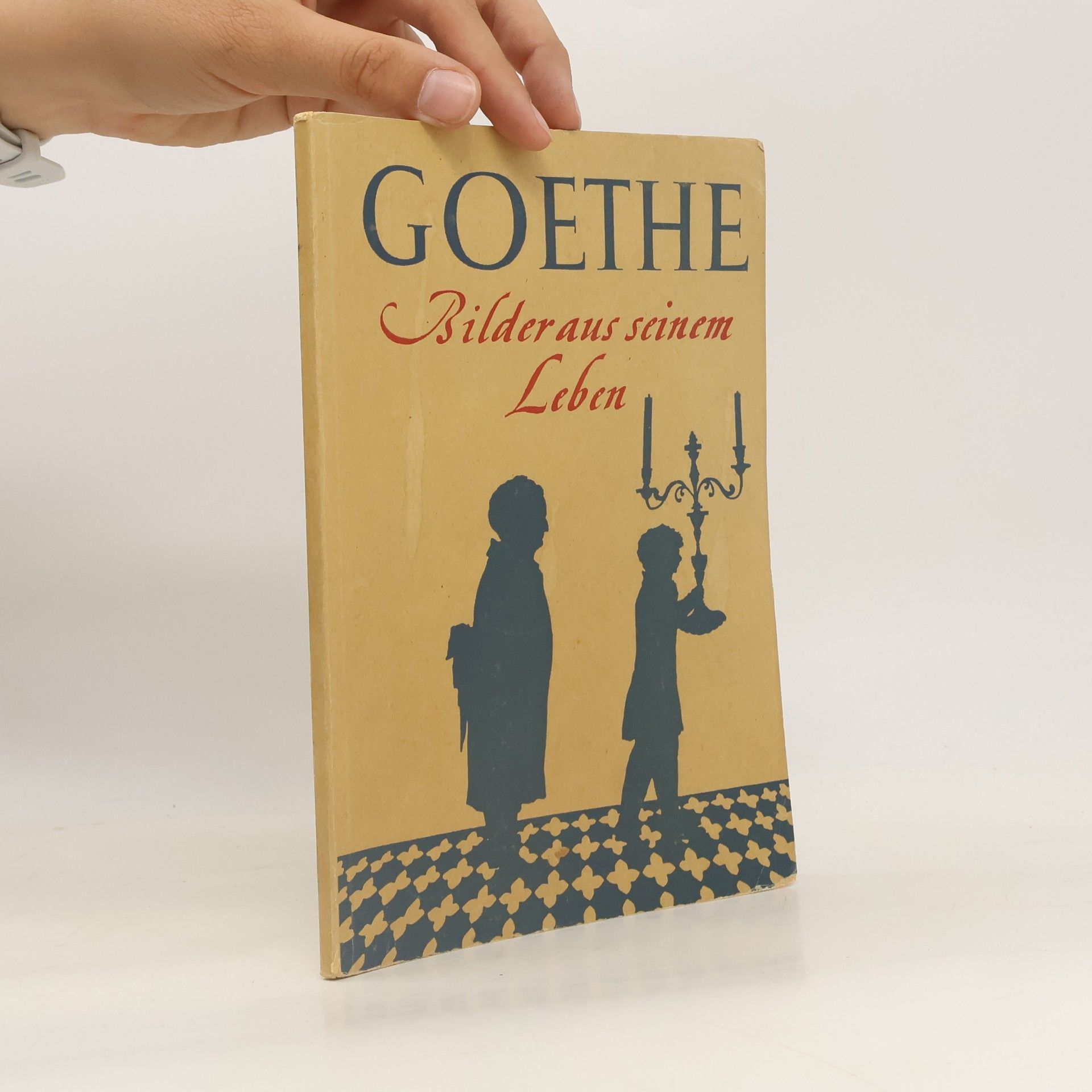 Johann Wolfgang von Goethe Goethe. Bilder aus Seinem Leben