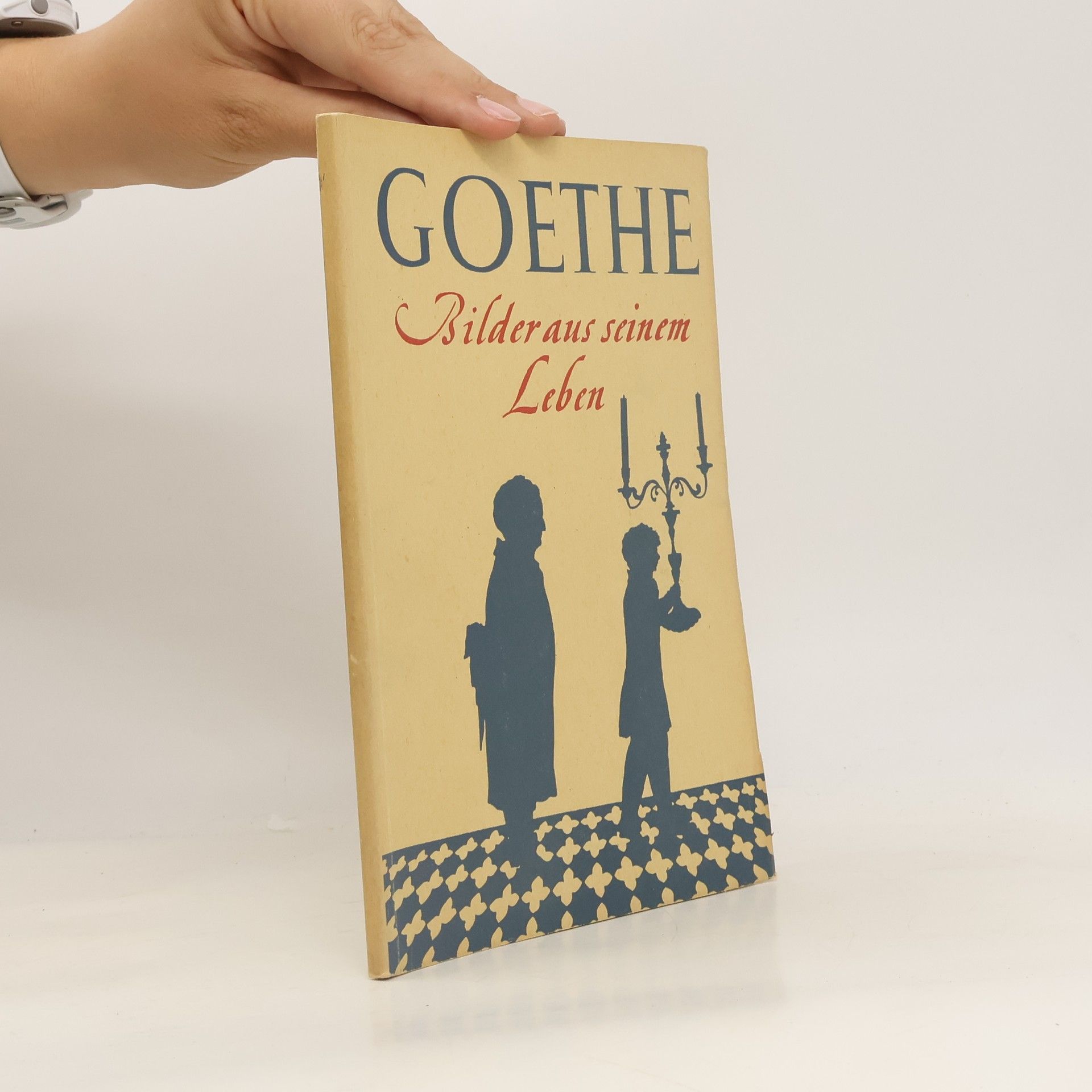 Johann Wolfgang von Goethe Goethe. Bilder aus seinem Leben