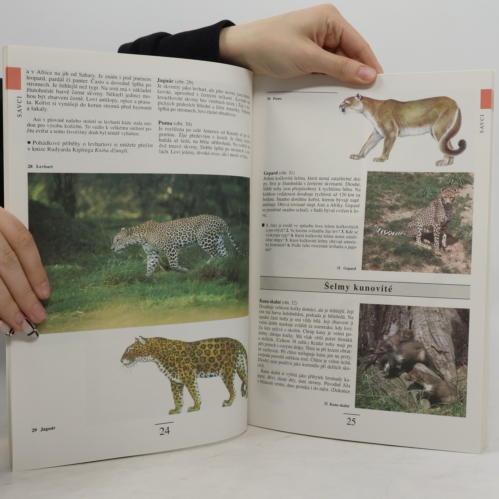 Vladimír Černík Přírodopis 1: Zoologie