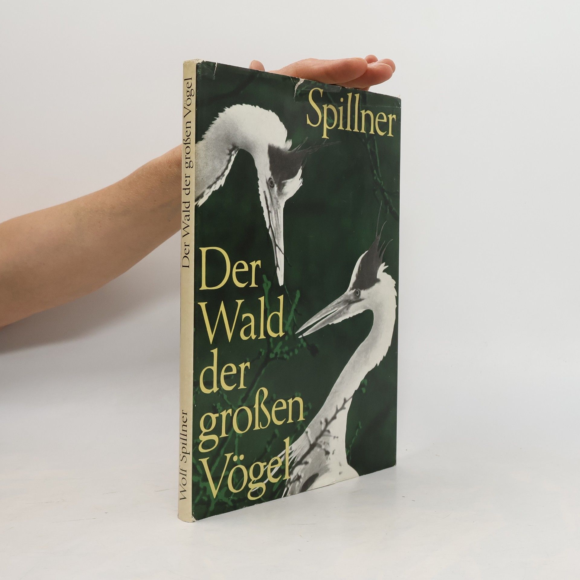 Wolf Spillner Der Wald der großen Vögel