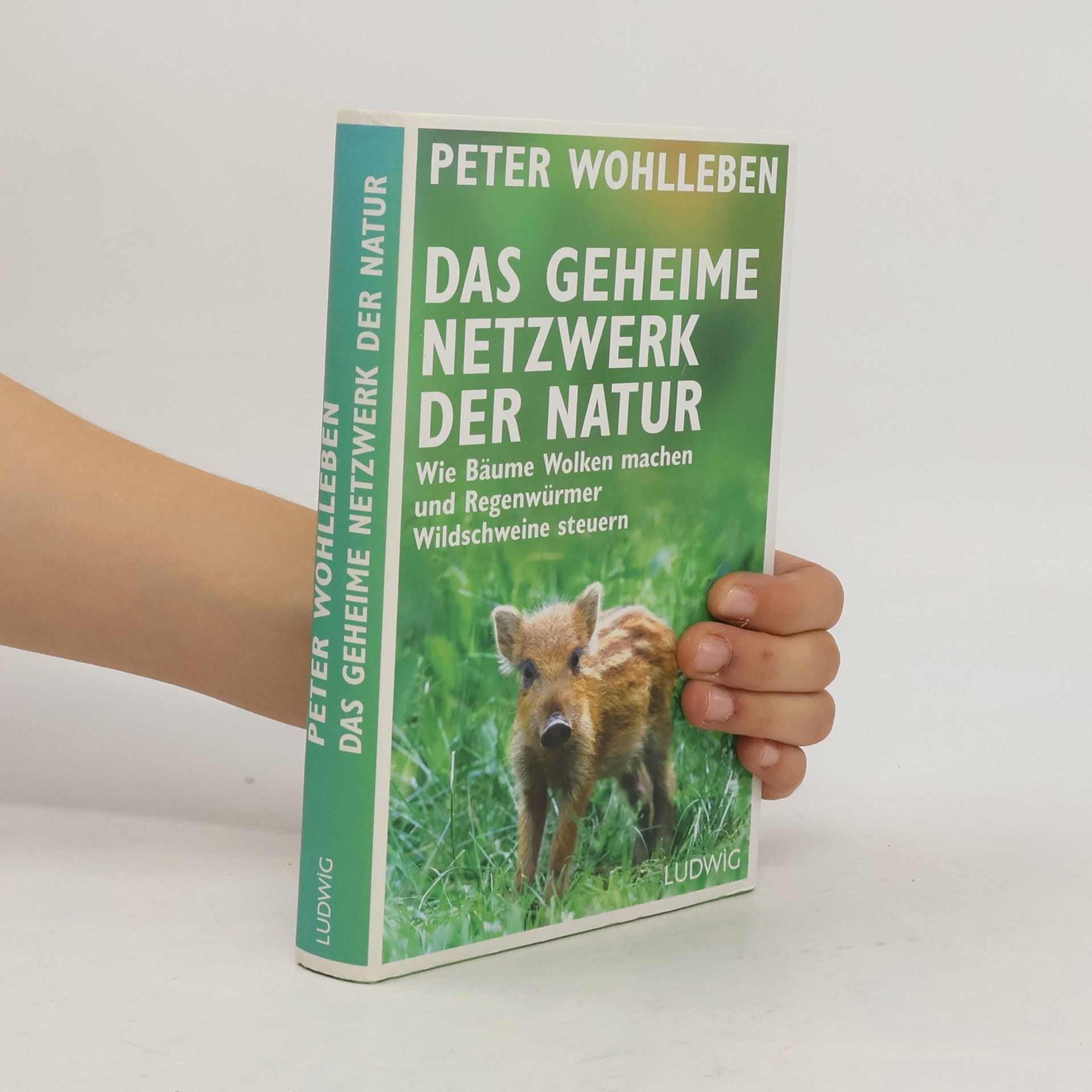 Peter Wohlleben Das geheime Netzwerk der Natur