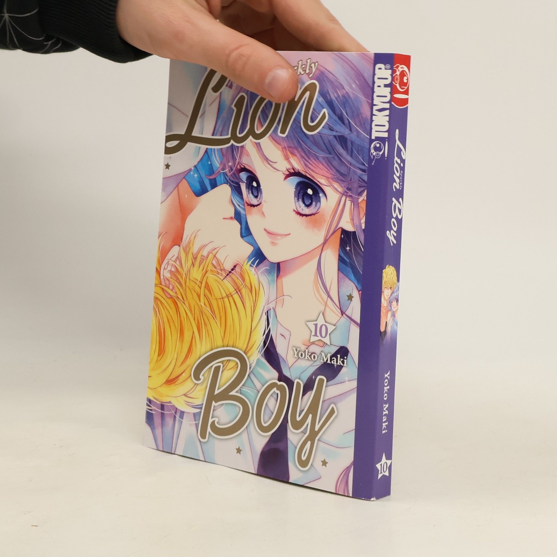 Yōko Maki Sparkly Lion Boy 10
