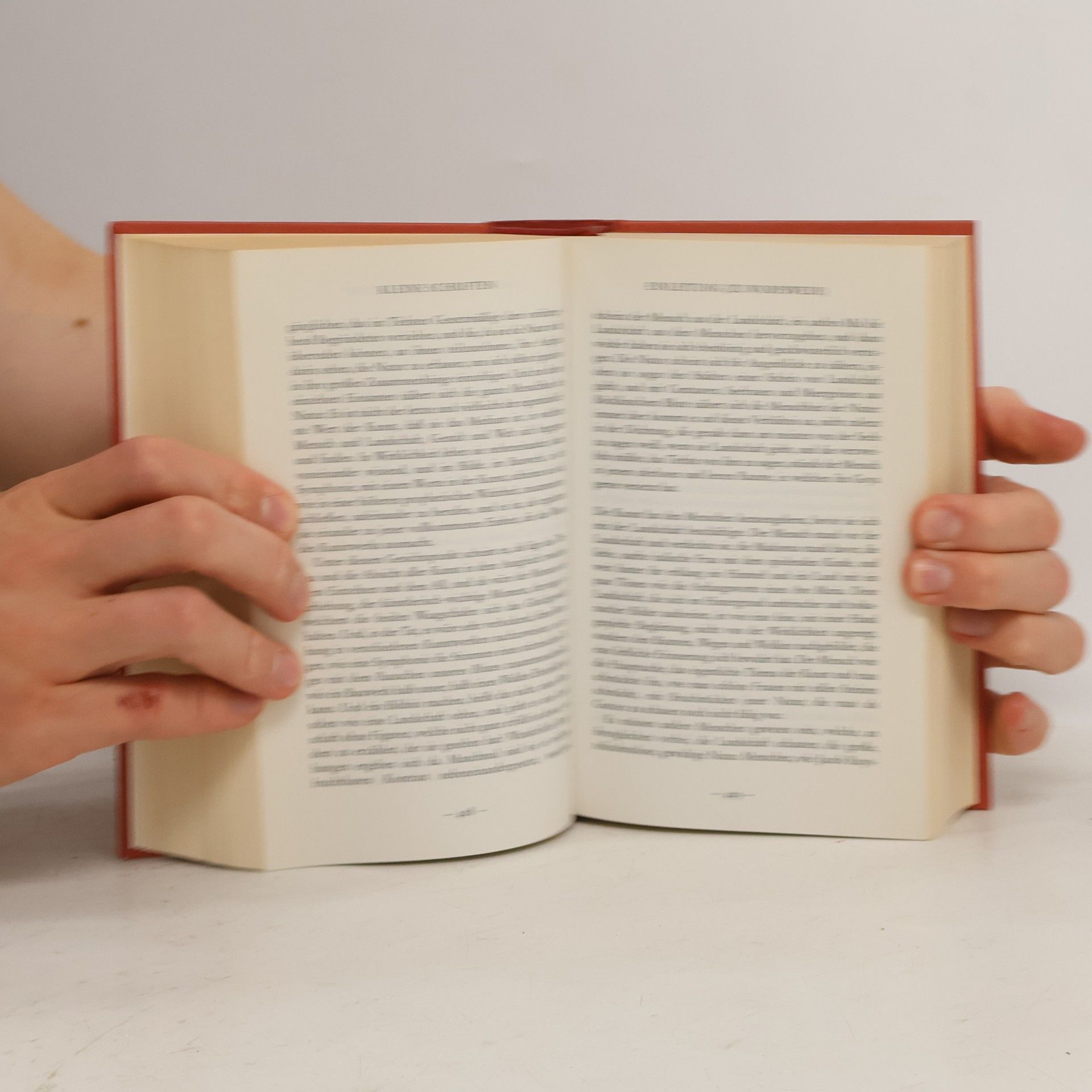 Rainer Maria Rilke Gedichte und Prosa