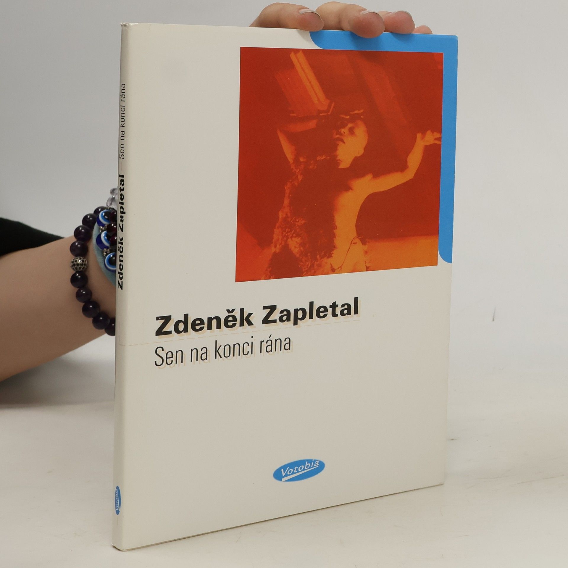Zdeněk Zapletal Sen na konci rána