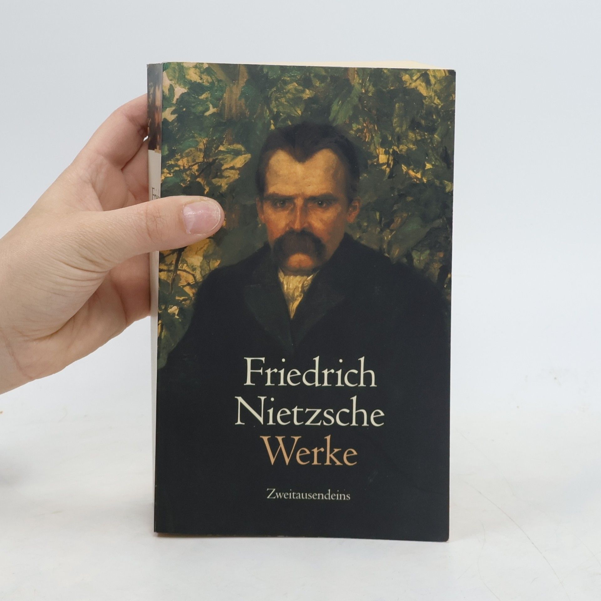 Friedrich Wilhelm Nietzsche Werke