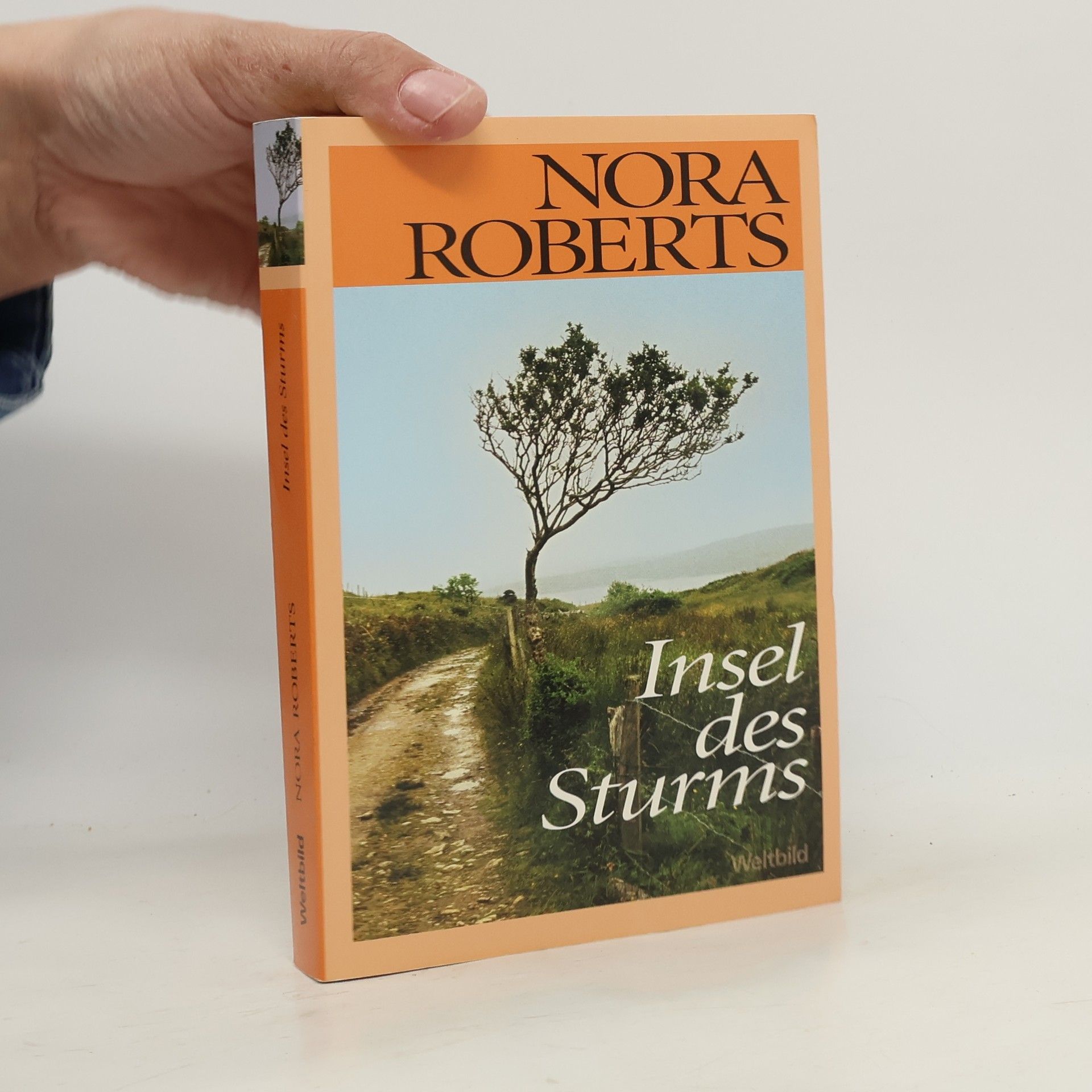 Nora Roberts Insel des Sturms