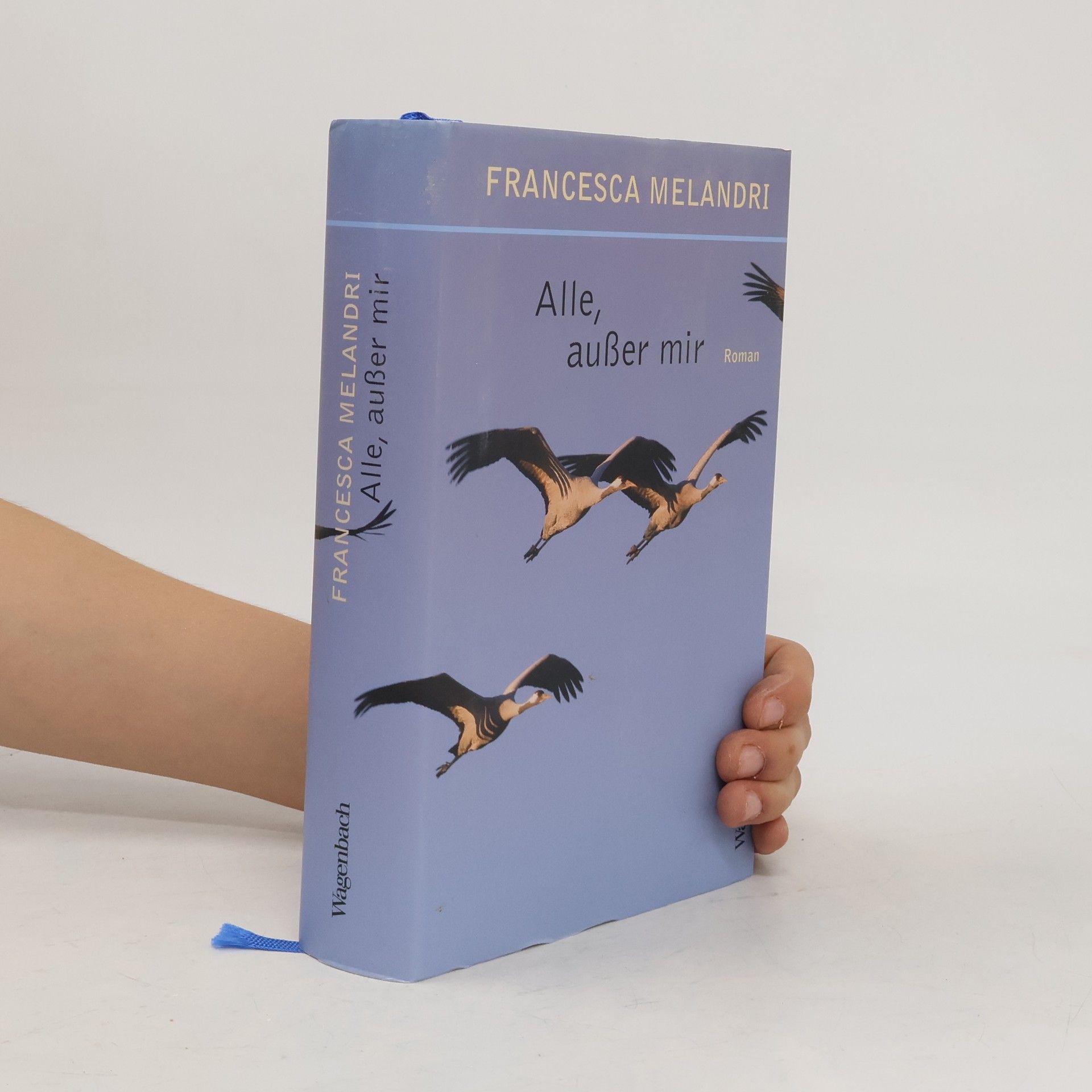 Francesca Melandri Alle, außer mir