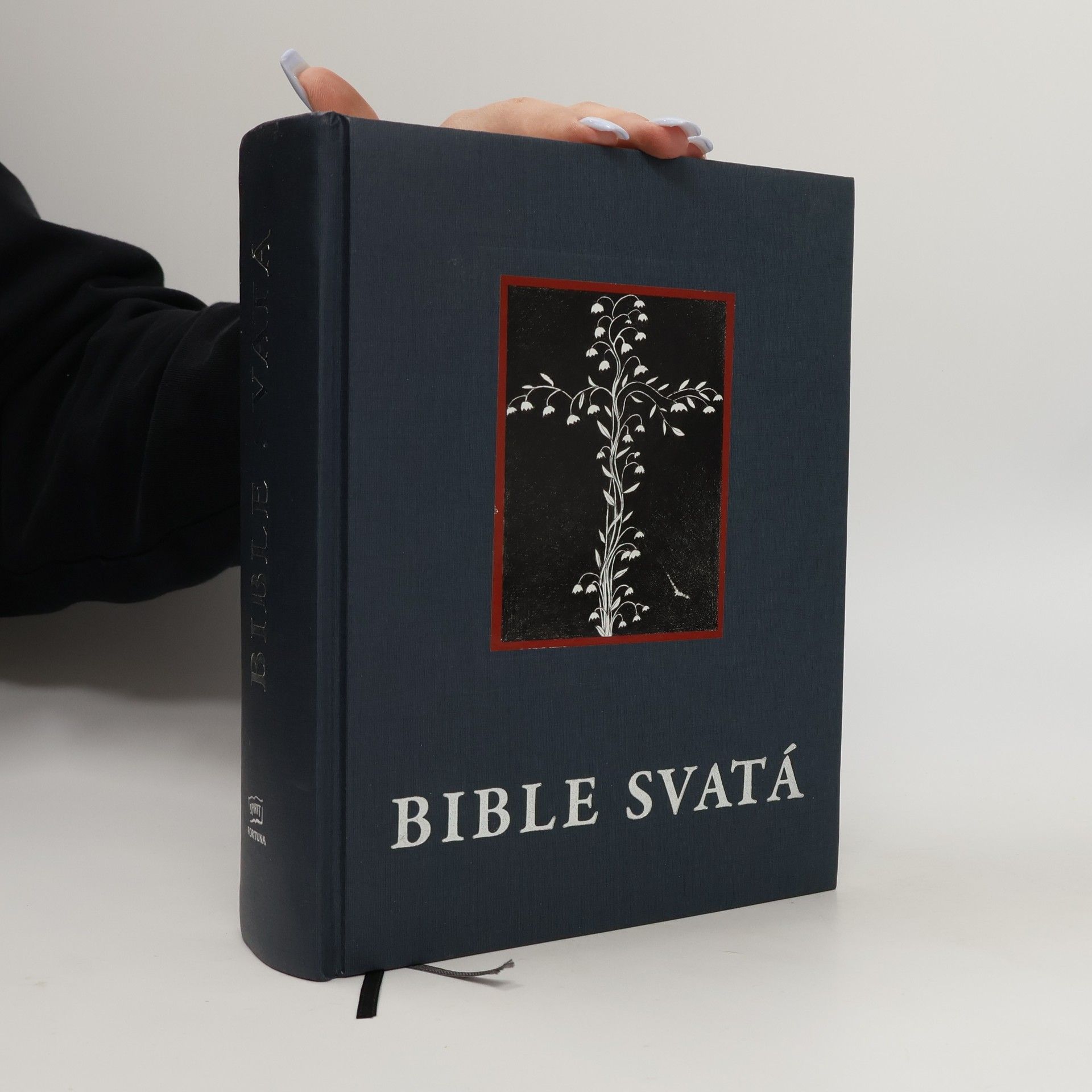 Auteurscollectief Kralická Bible svatá, aneb, Všecka svatá písma Starého i Nového zákona : podle posledního vydání Kralického z roku 1613