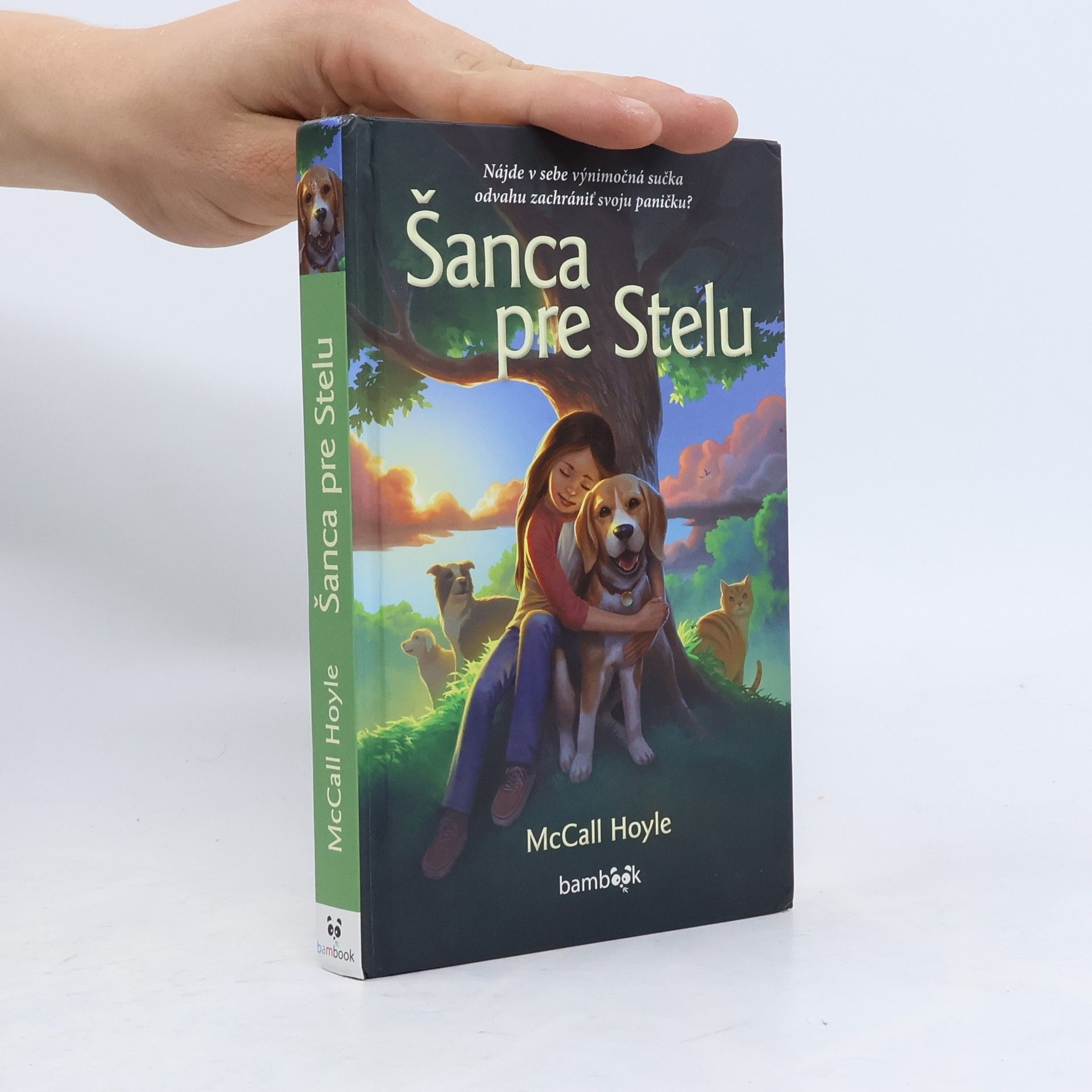McCall Hoyle Šanca pre Stelu