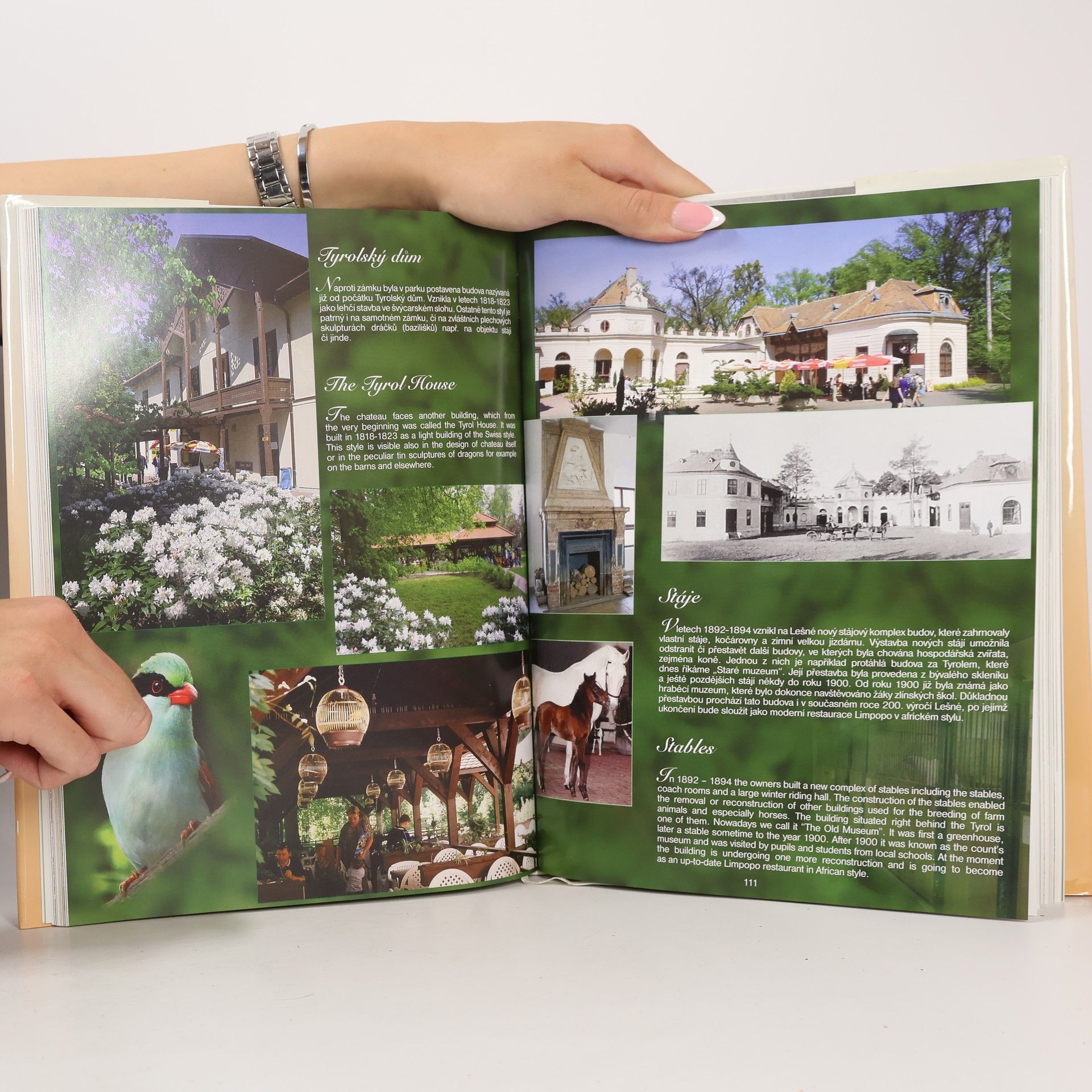 Radek Klimeš Lidé a zvířata : historie vzniku a významu zoologických zahrad = People and animals : history of the origin and importance of zoological garden