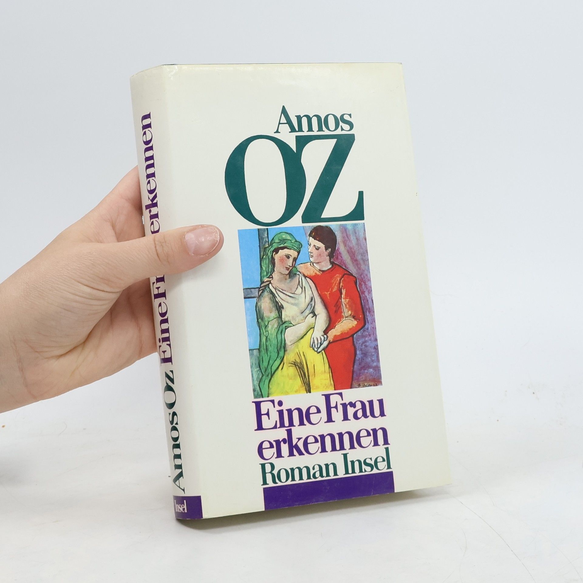 Amos Oz Eine Frau erkennen