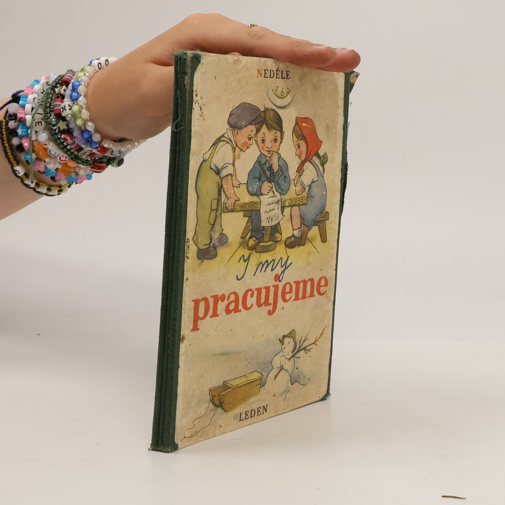 Autorenkollektiv Aj my pracujeme