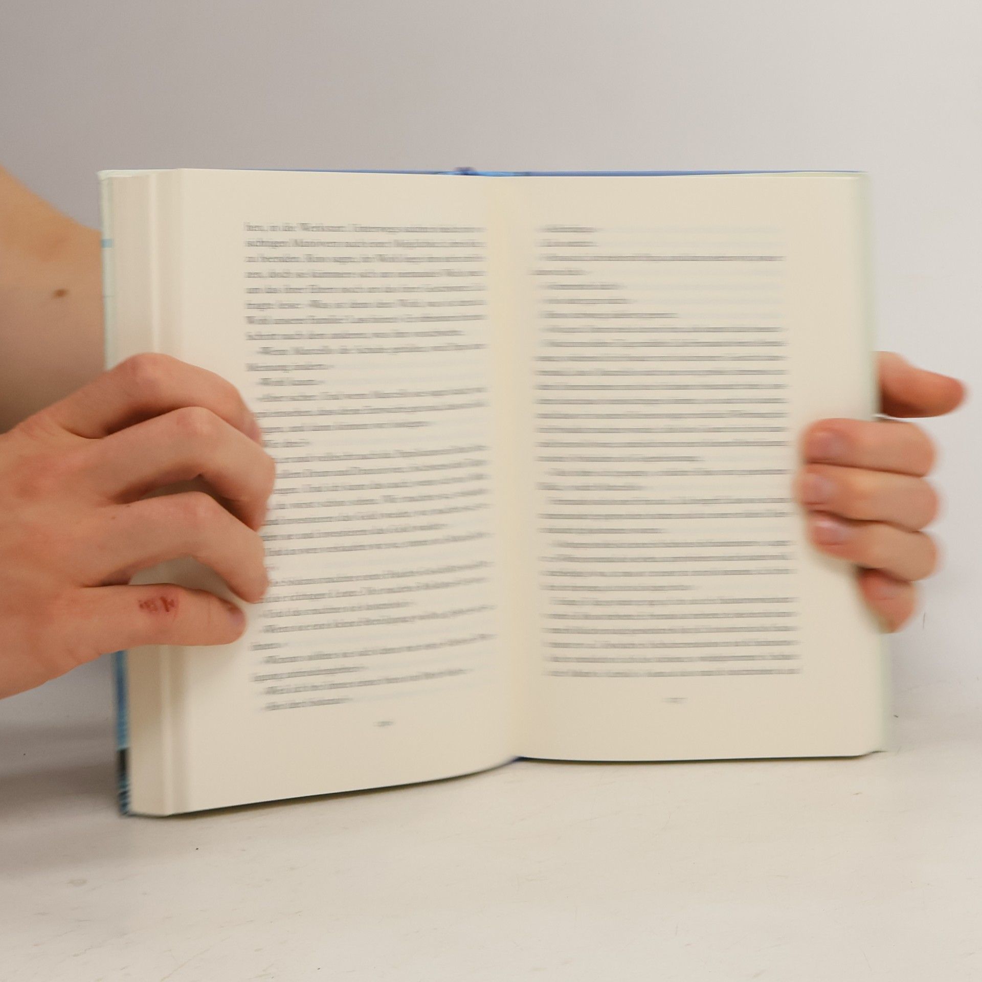 Elena Ferrante Meine geniale Freundin