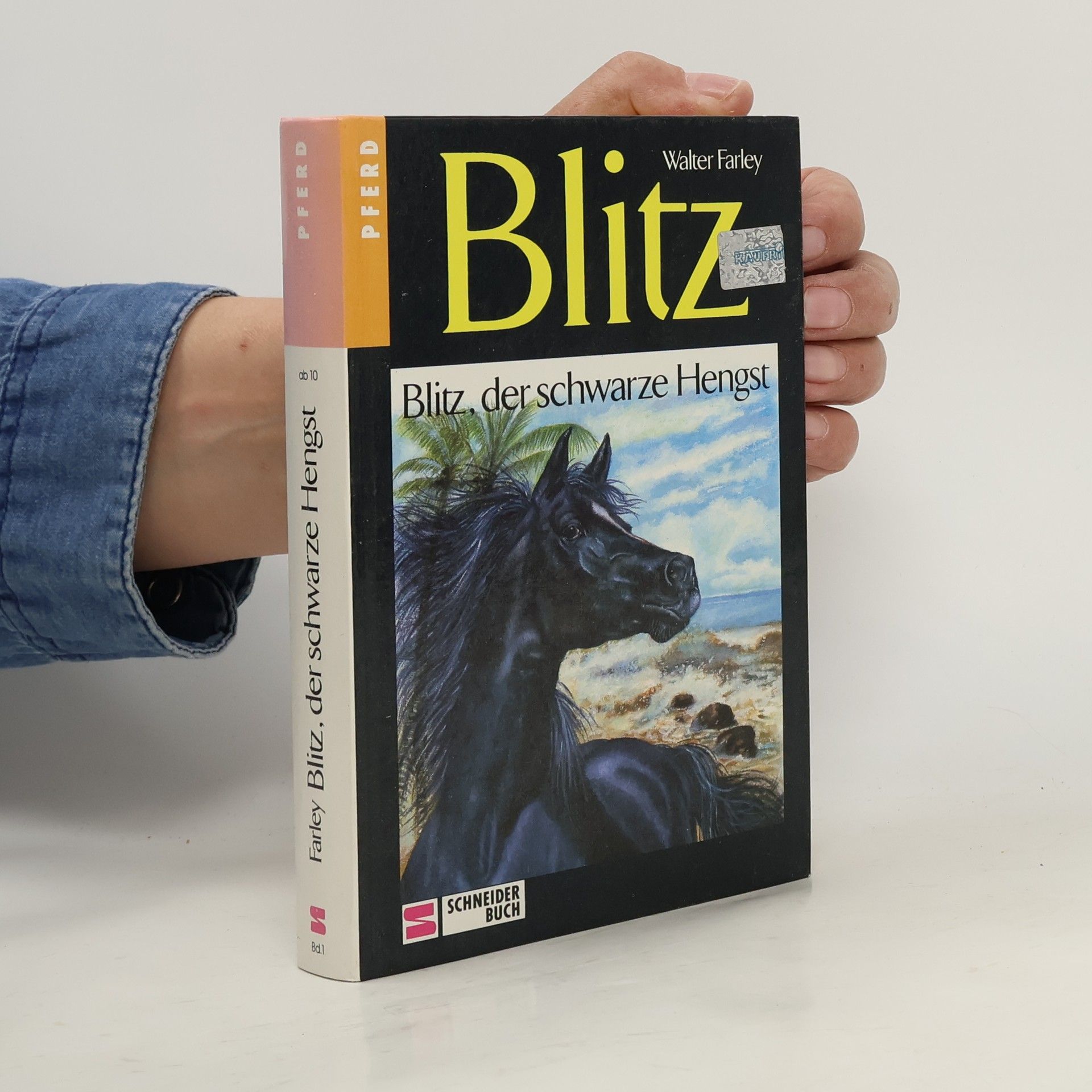 Walter Farley Blitz, der schwarze Hengst