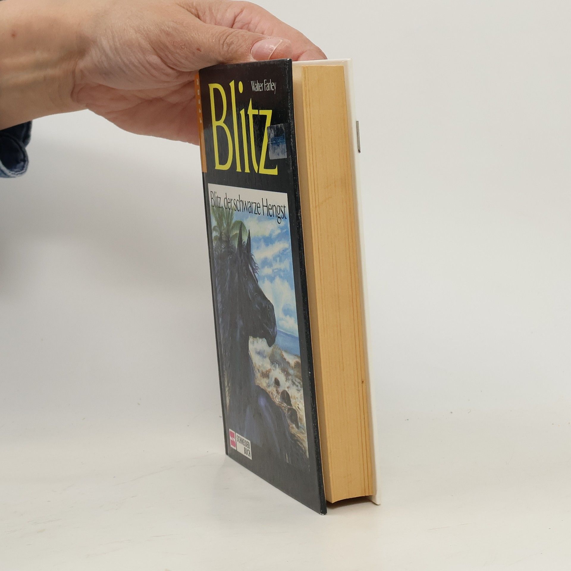 Walter Farley Blitz, der schwarze Hengst