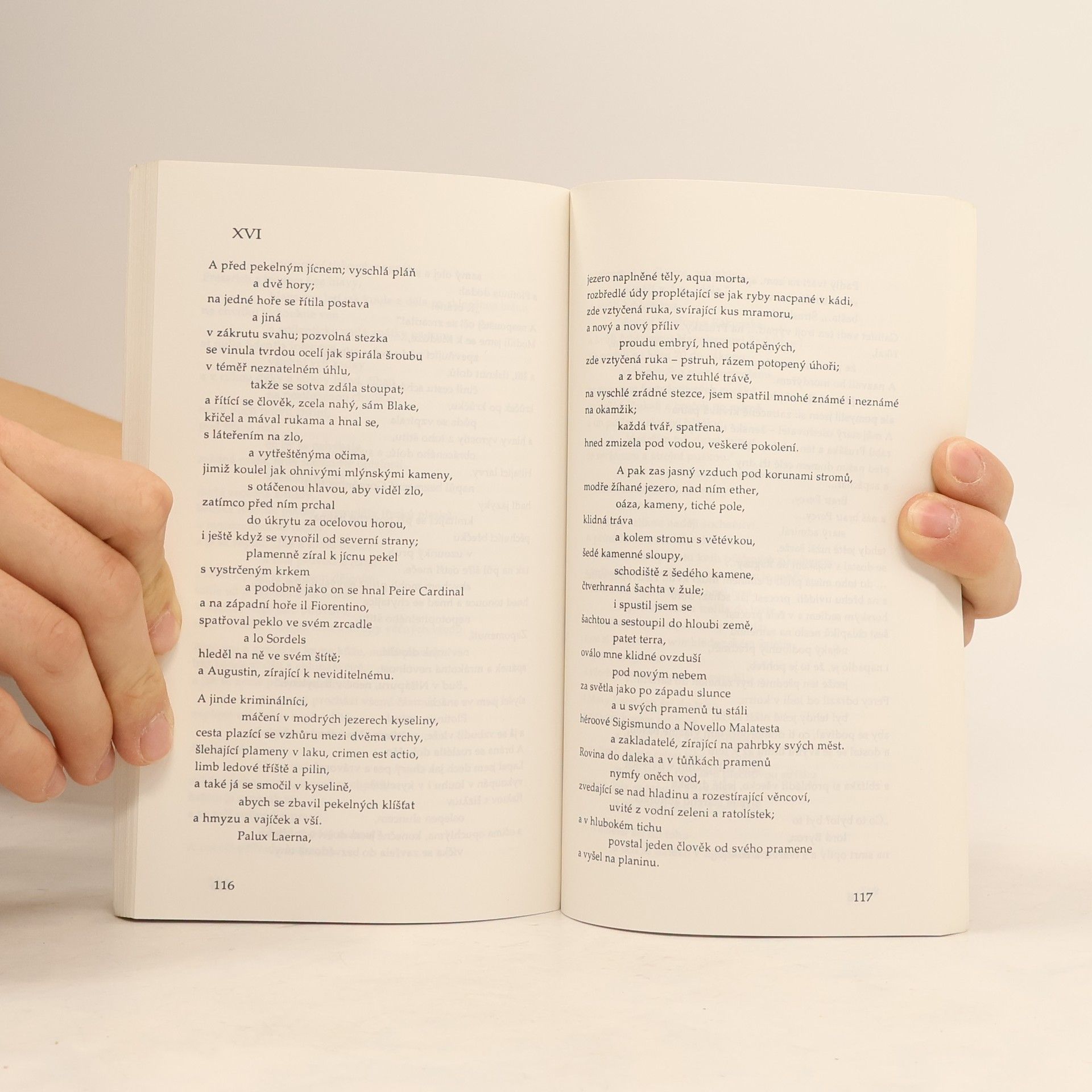 Ezra Pound Chtěl jsem napsat ráj. Výbor z díla