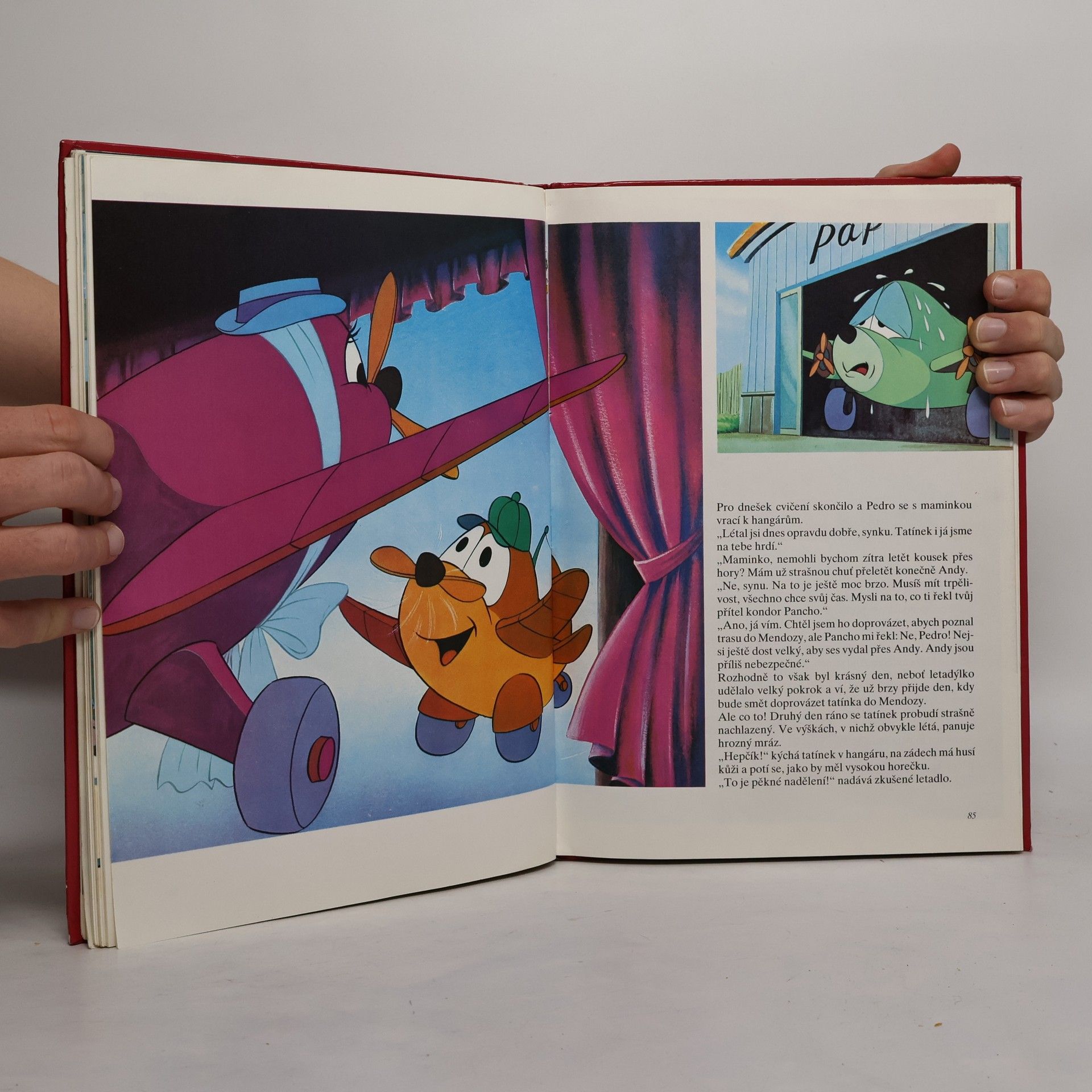 Walt Disney Popelka. Domeček. Pedro