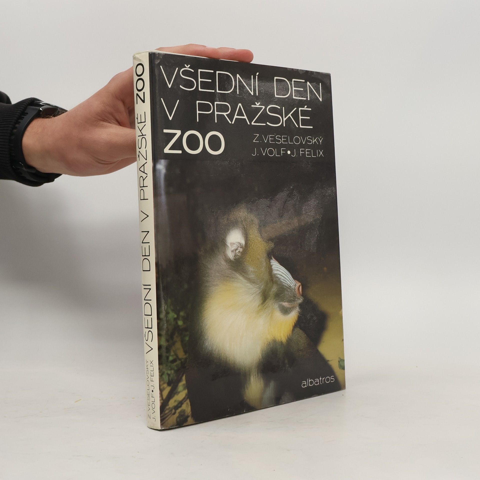 Všední den v pražské ZOO