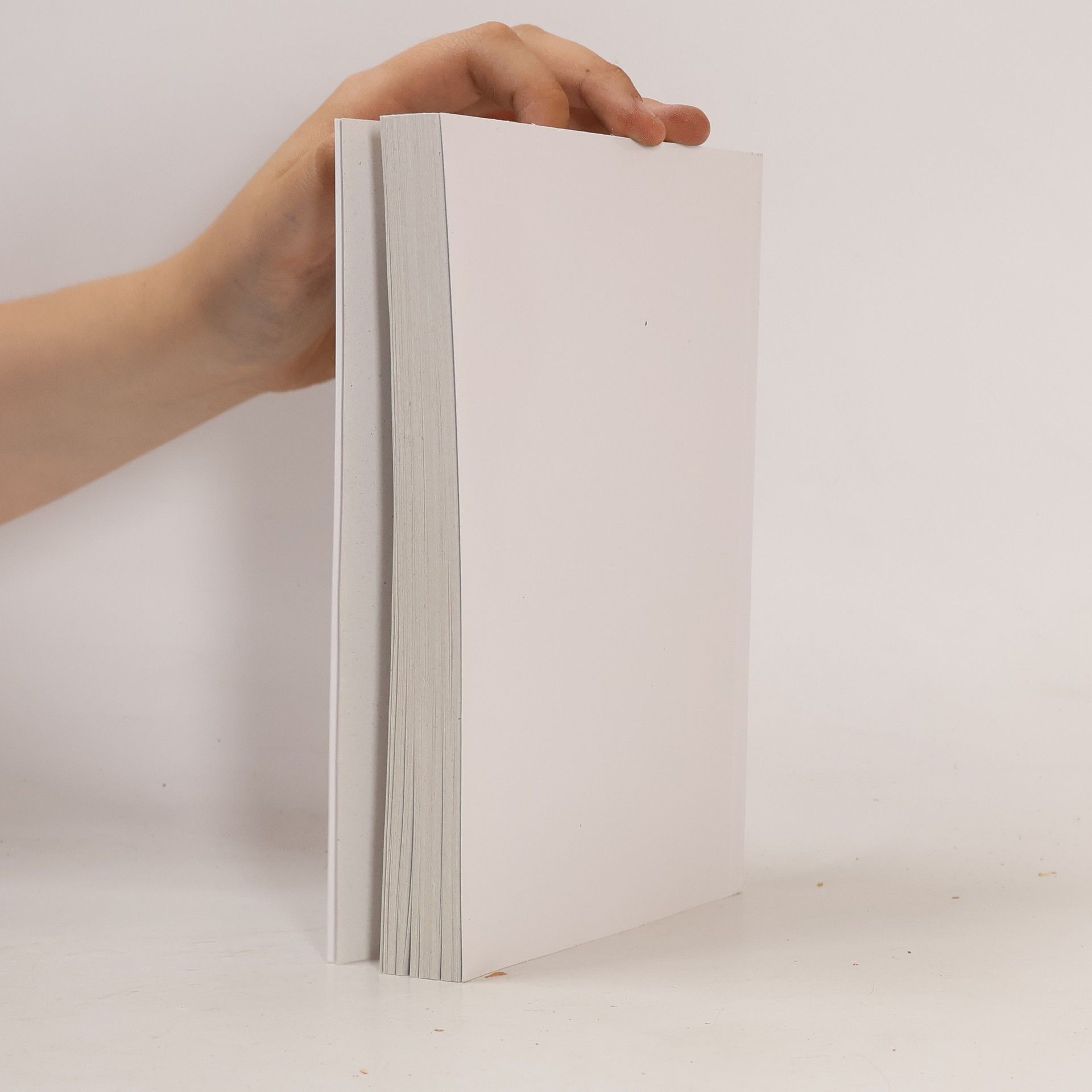 Autores varios Zákon č. 361/2003 Sb., o služebním poměru příslušníků bezpečnostích sborů