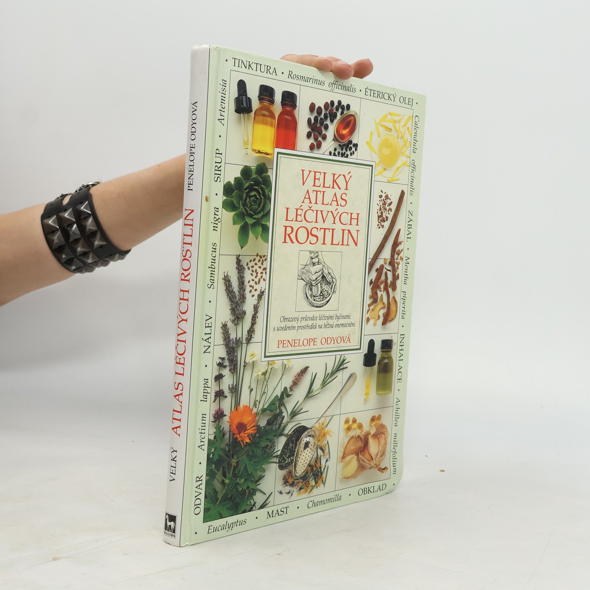 Penelope Ody Velký atlas léčivých rostlin