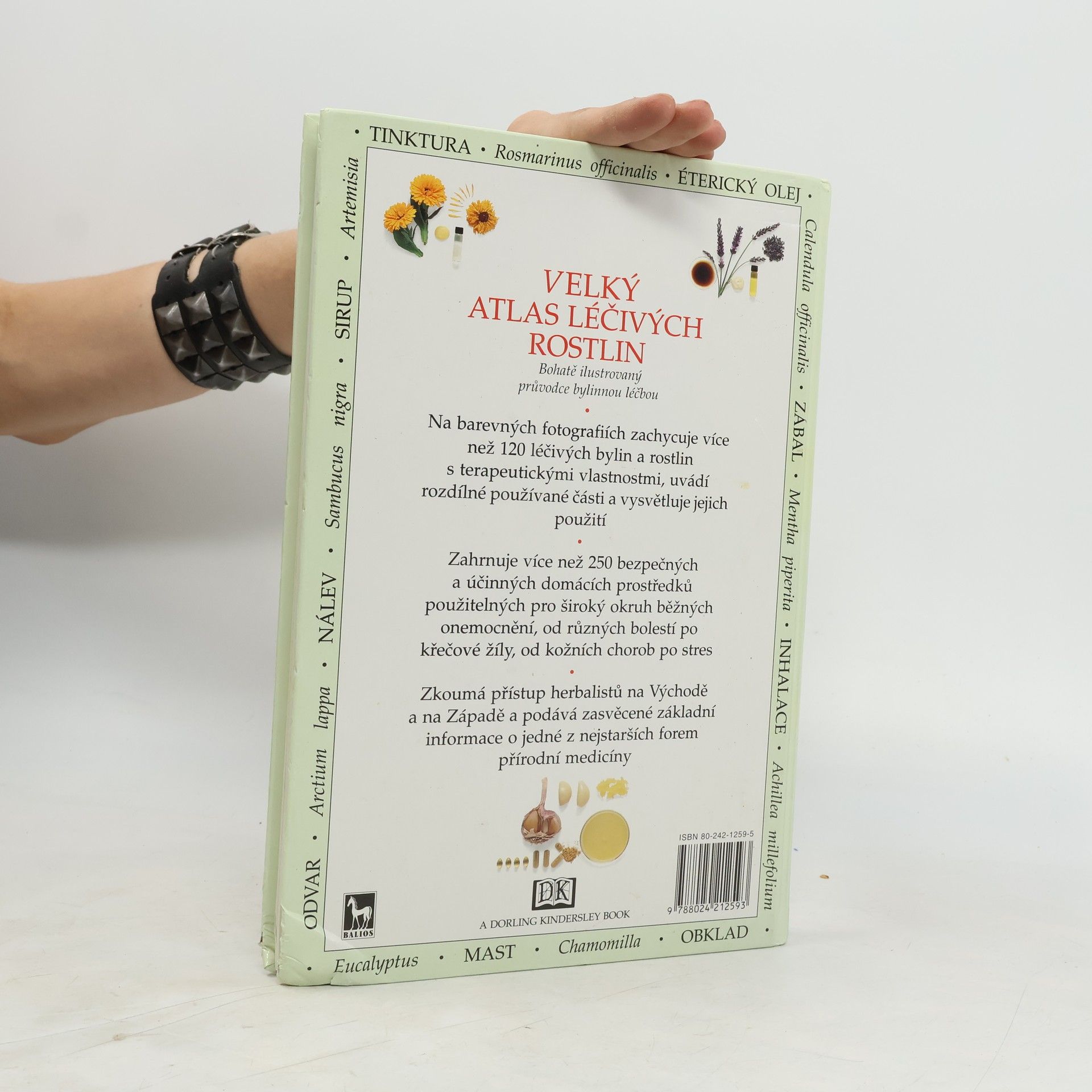 Penelope Ody Velký atlas léčivých rostlin