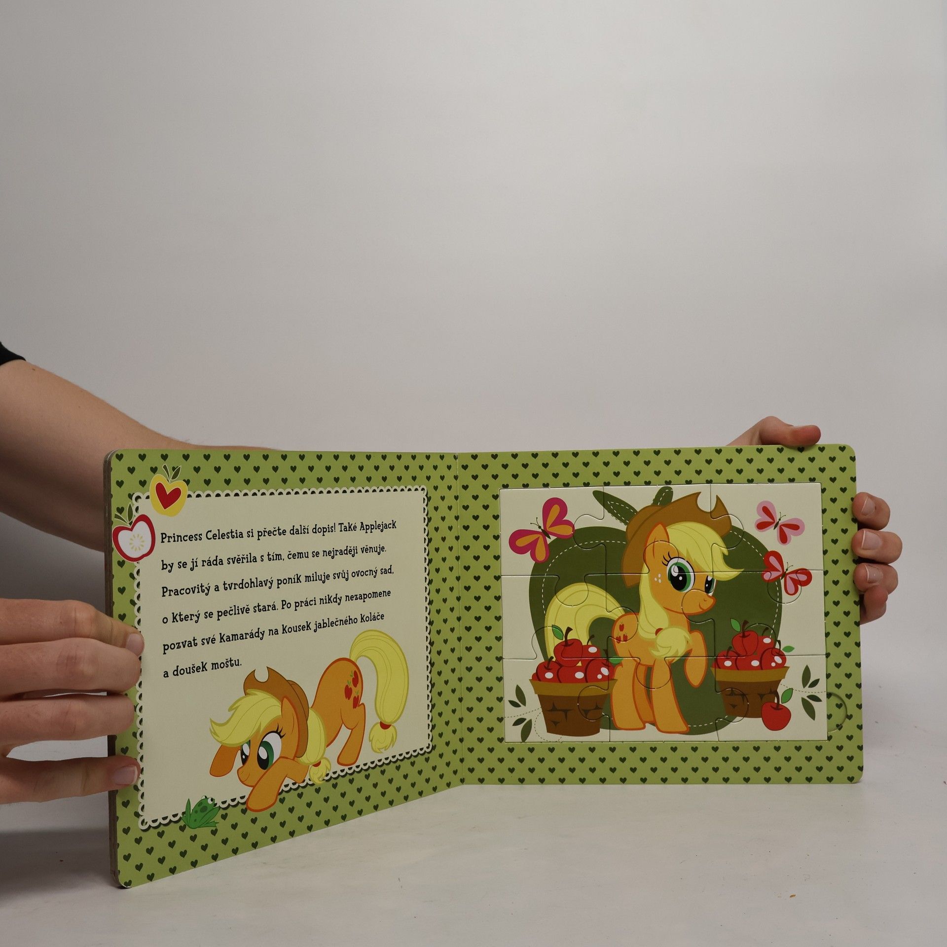 Auteurscollectief My Little Pony - Kniha puzzle
