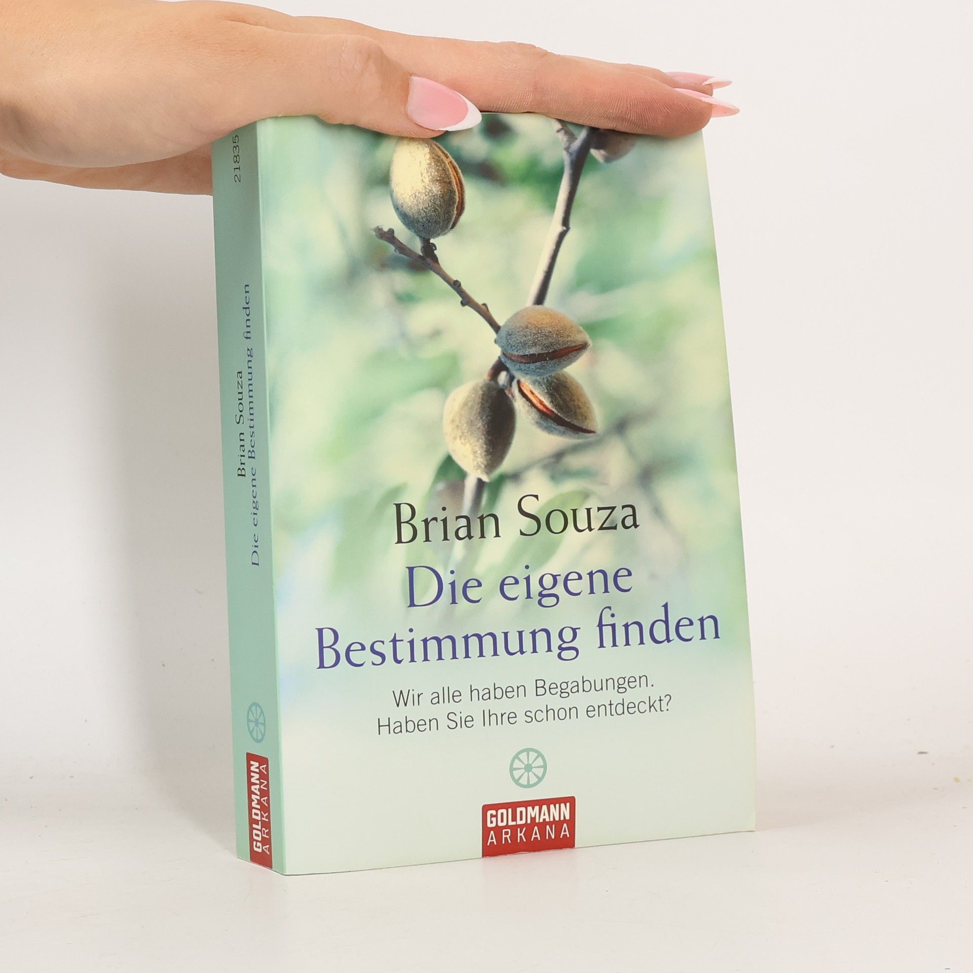 Brian Souza Die eigene Bestimmung finden
