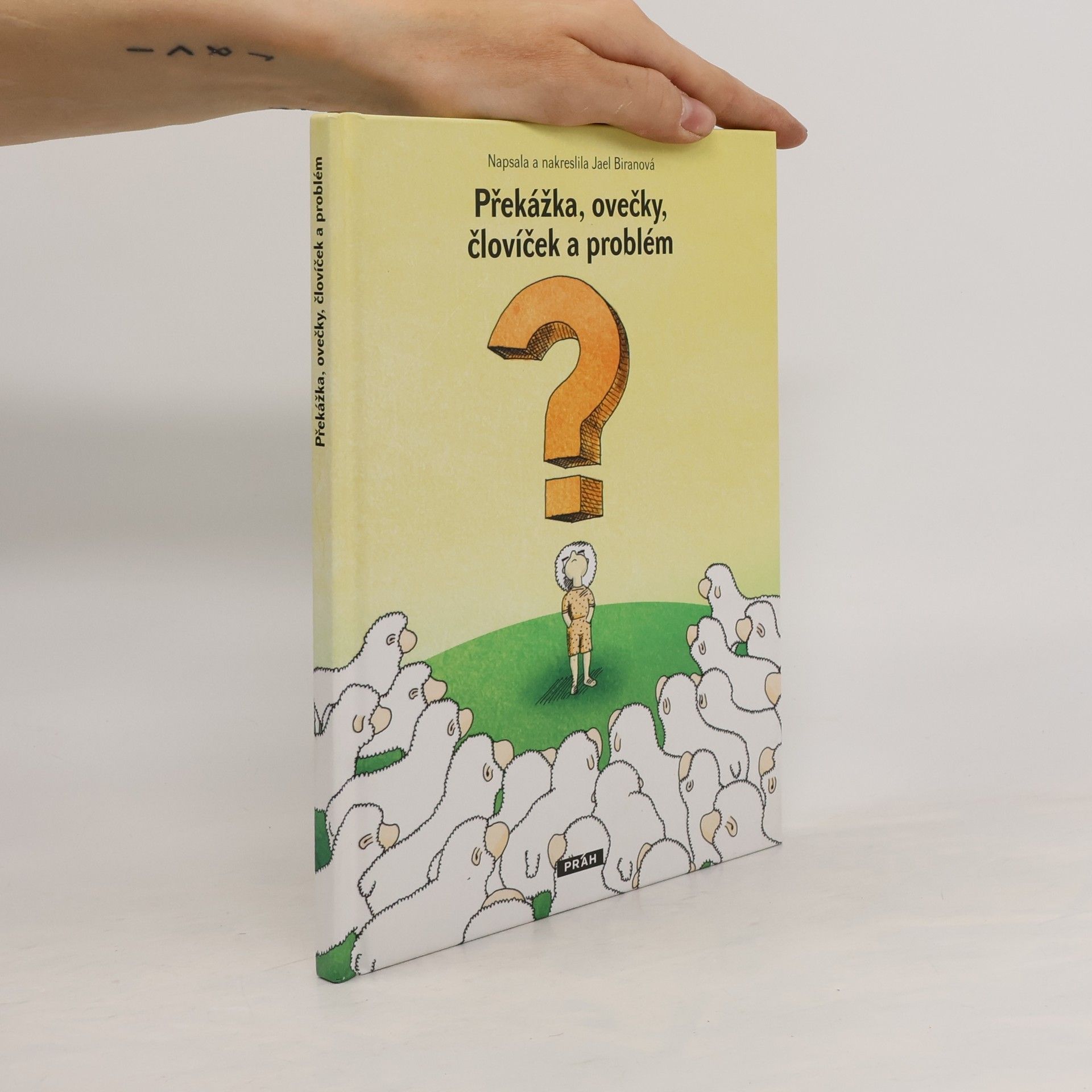 Yael Biran Překážka, ovečky, človíček a problém