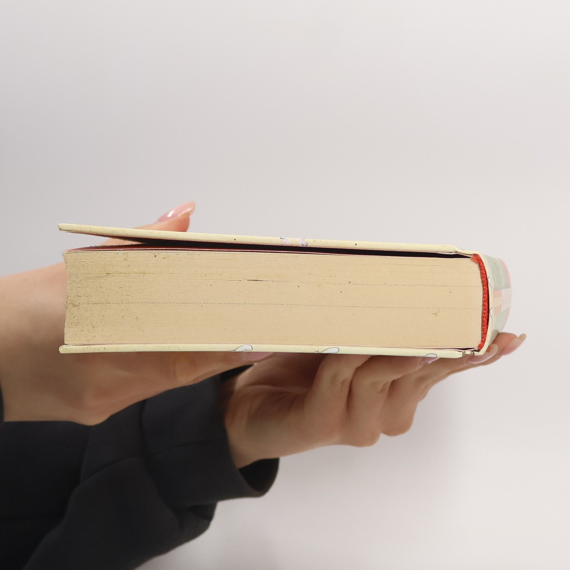 Andy Griffiths Ztřeštěný dům na stromě - 39 pater