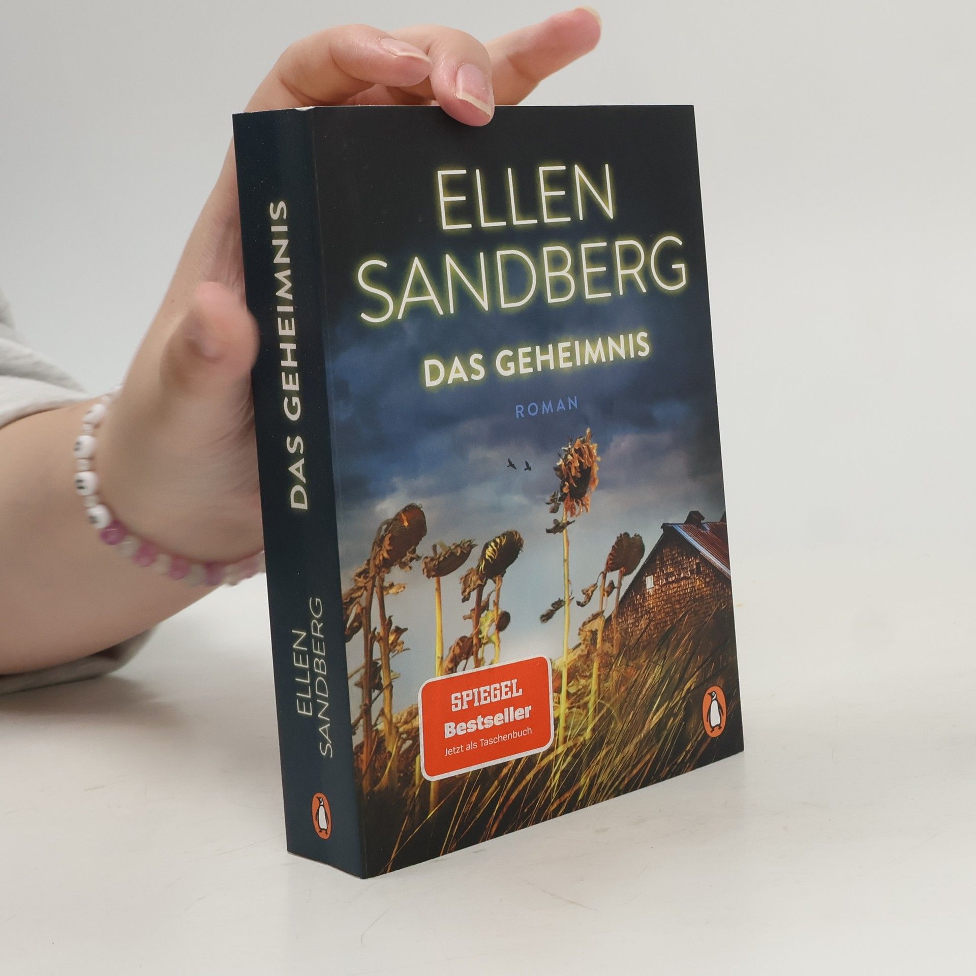 Ellen Sandberg Das Geheimnis