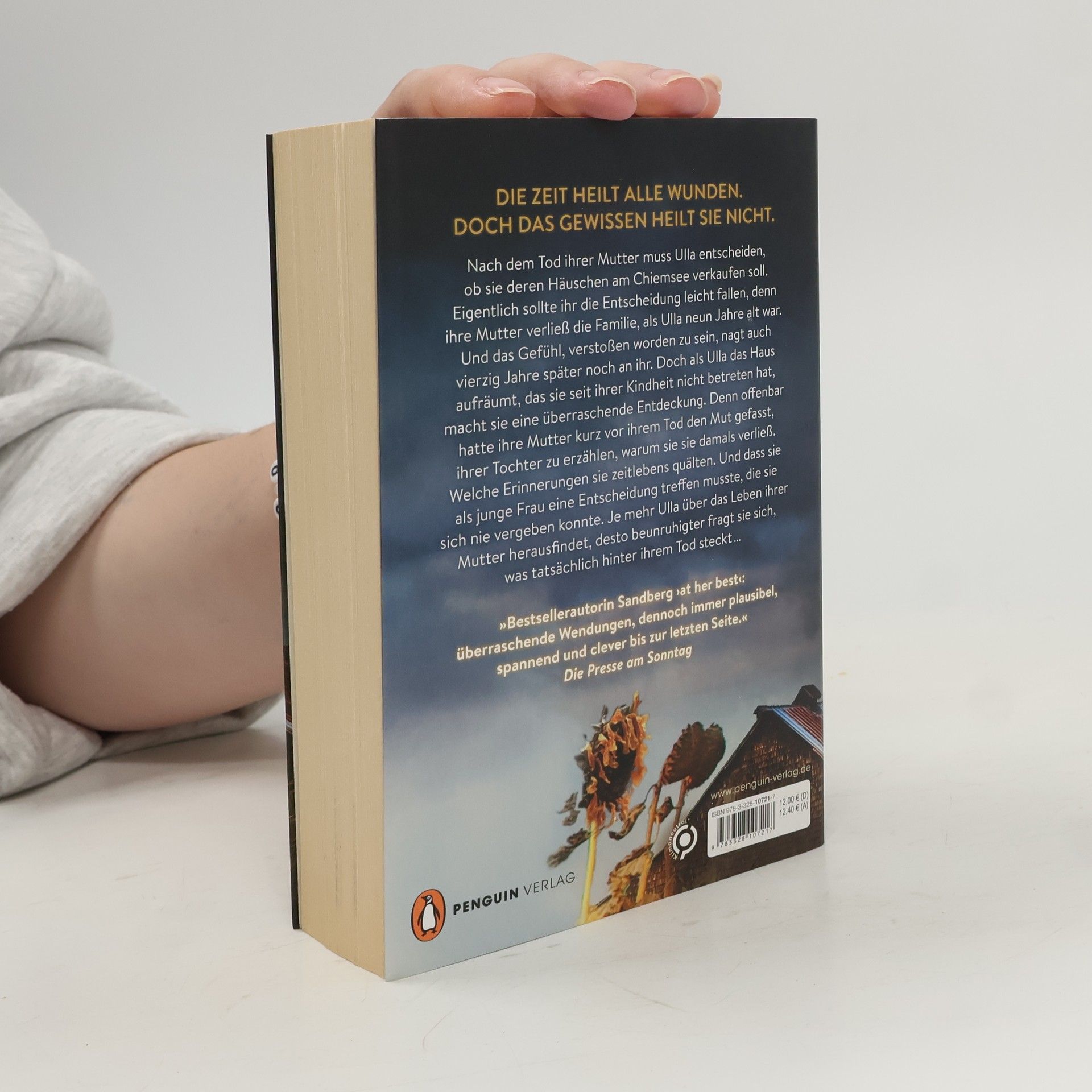 Ellen Sandberg Das Geheimnis