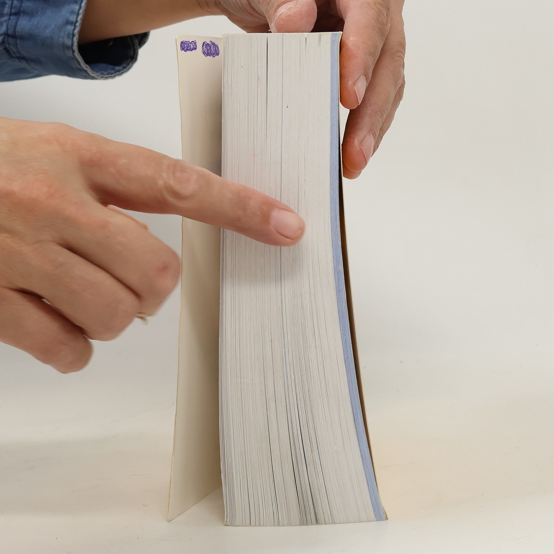 Langenscheidt Collins Aktiv-Wörterbuch Französisch