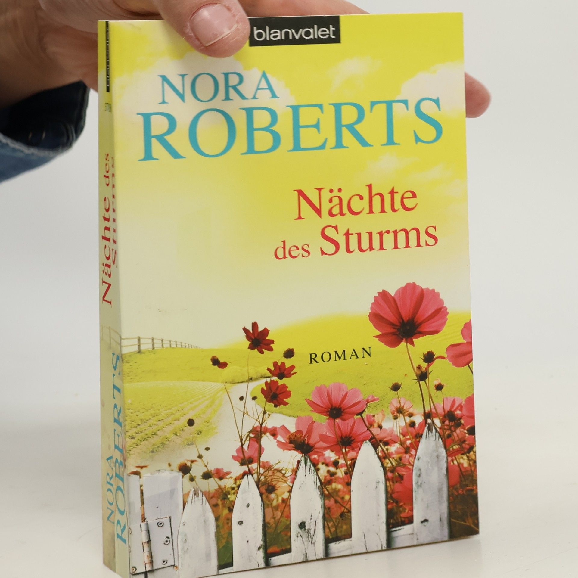 Nora Roberts Nächte des Sturms