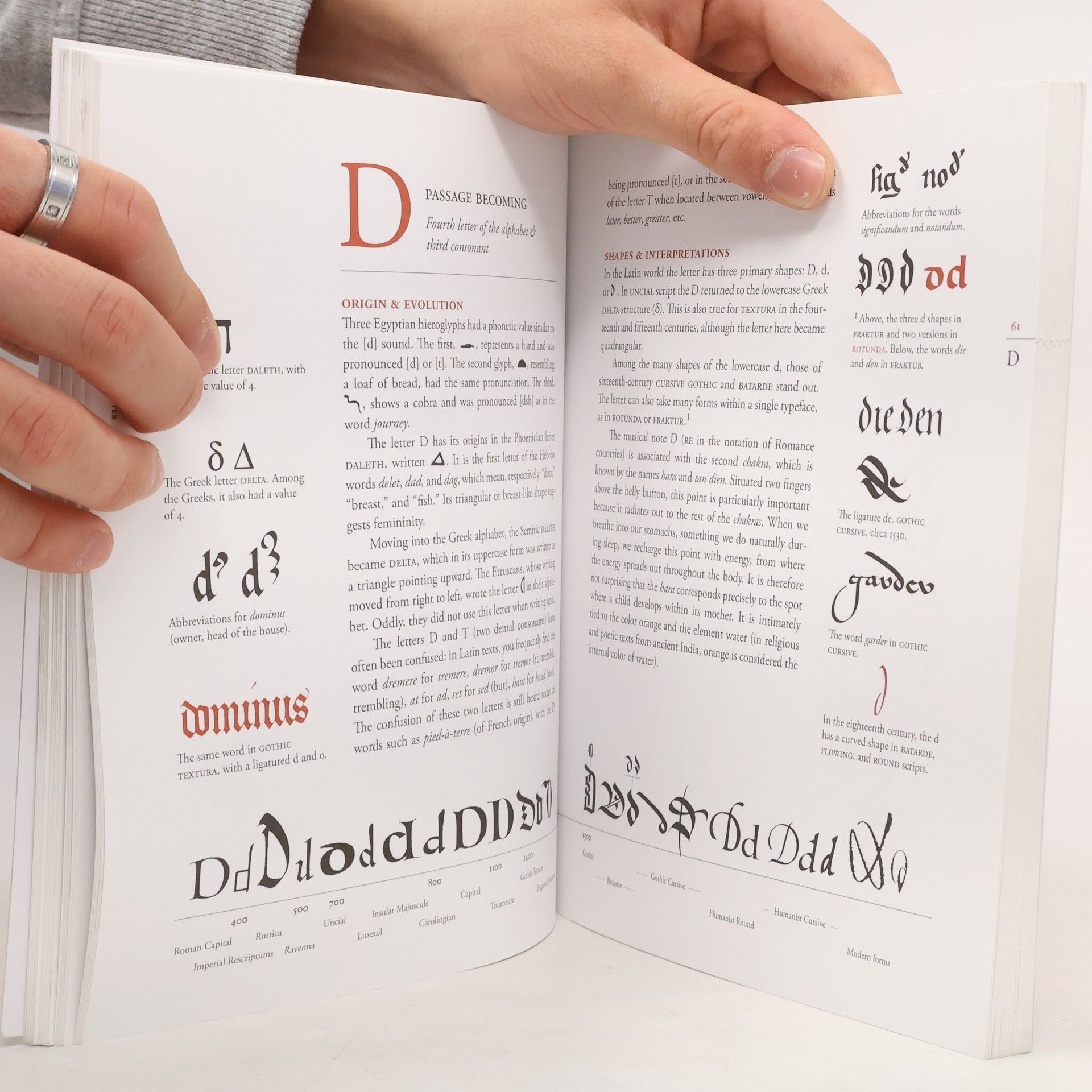 Laurent Pflughaupt Letter by Letter