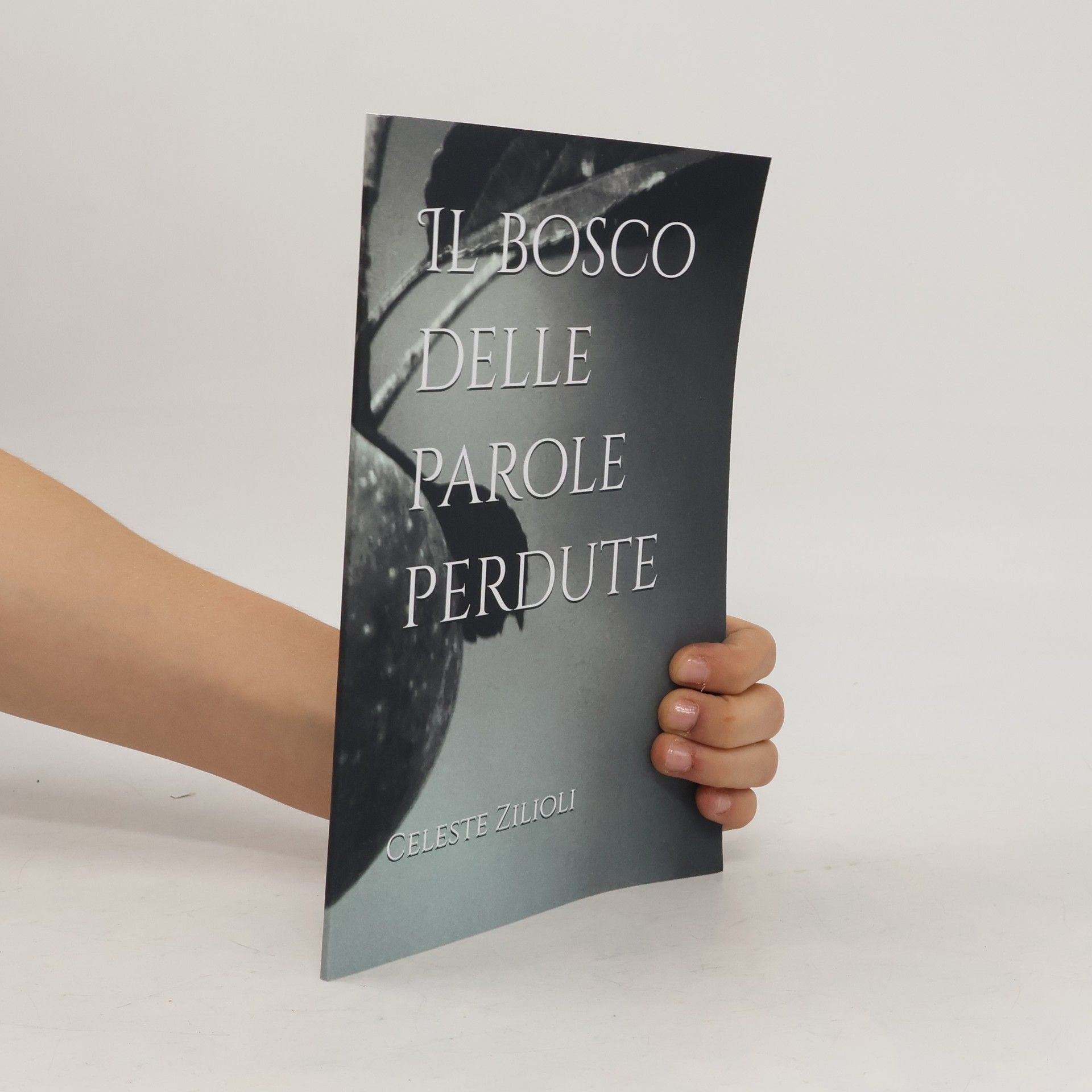Celeste Zilioli Il bosco delle parole perdute