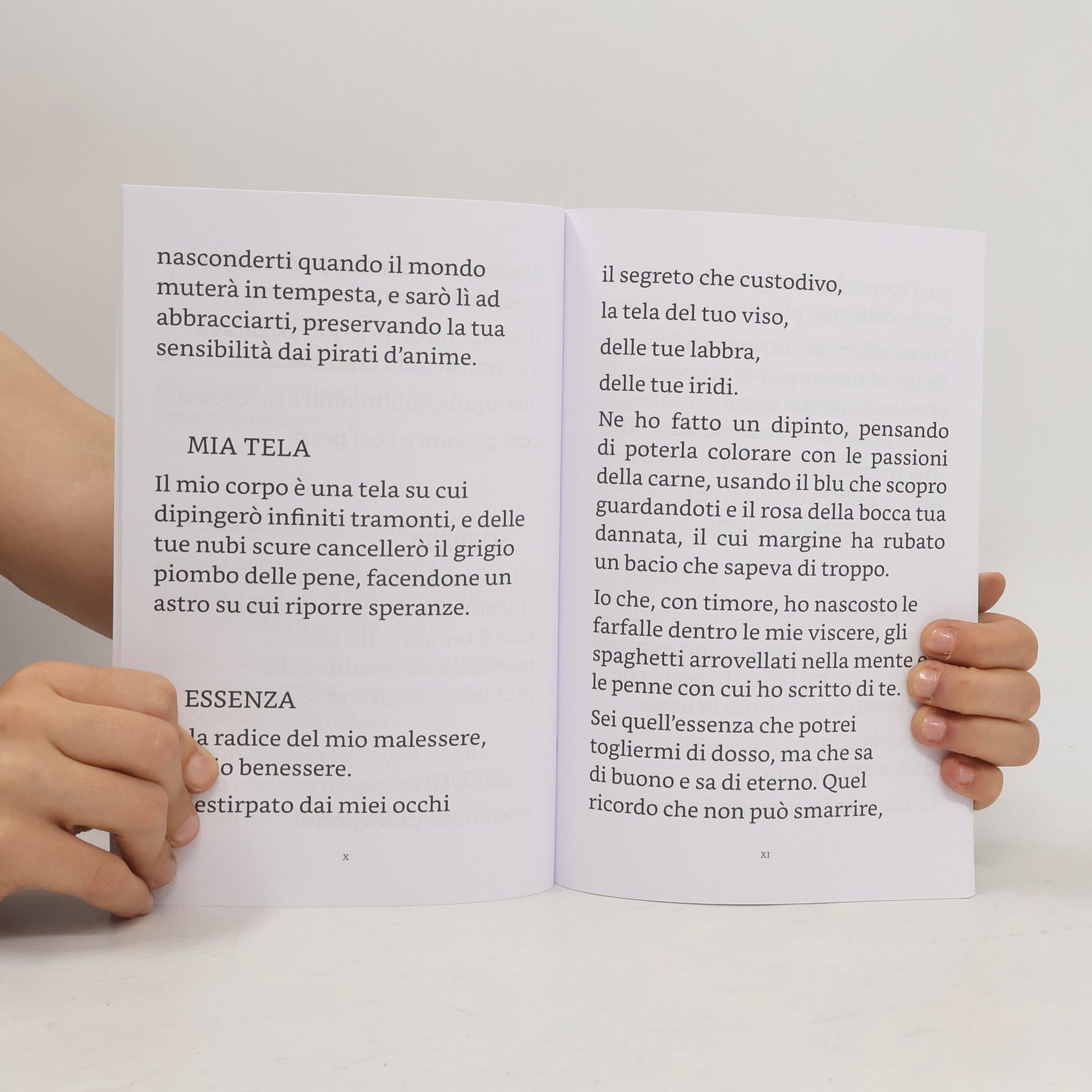 Celeste Zilioli Il bosco delle parole perdute