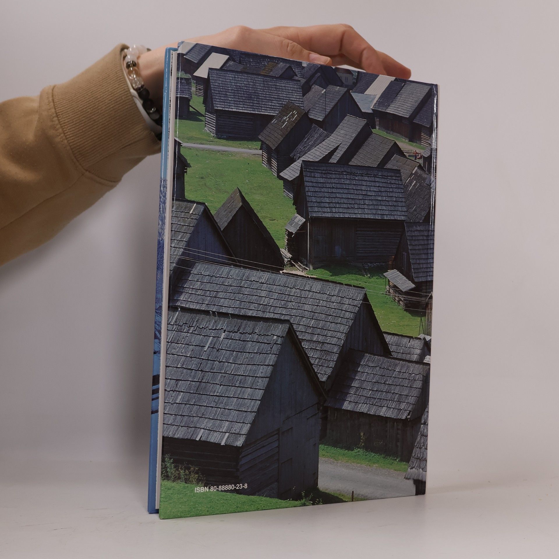 Autorenkollektiv Ľudová architektúra a urbanizmus vidieckych sídiel na Slovensku