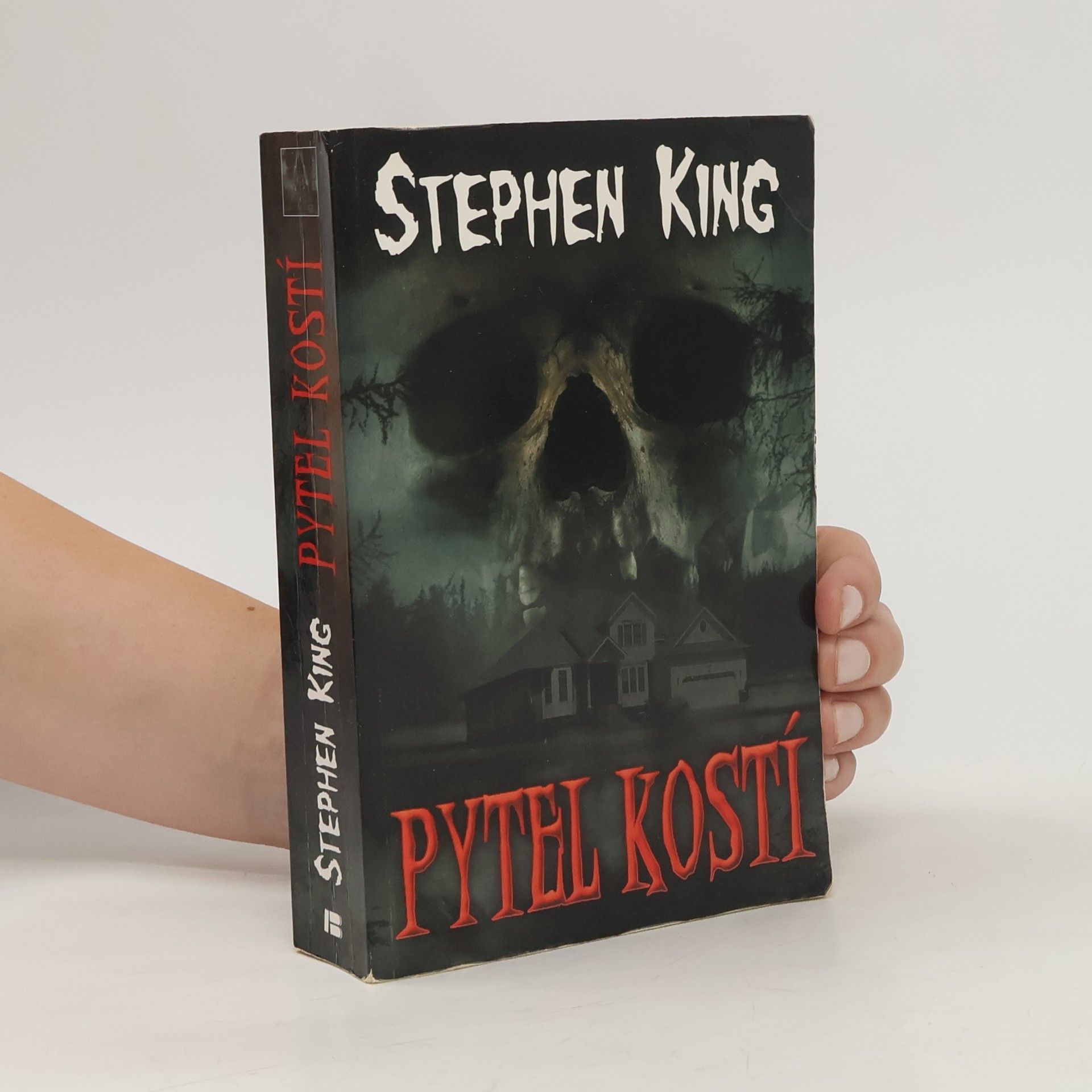 Stephen King Pytel kostí