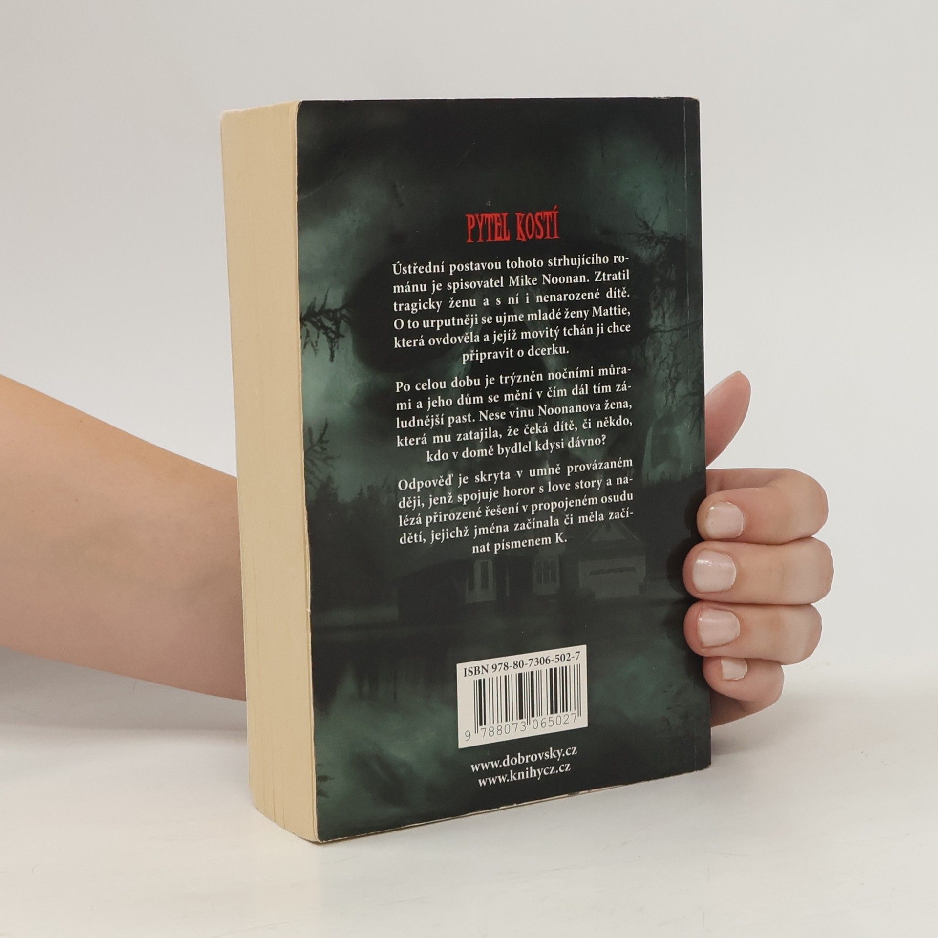Stephen King Pytel kostí