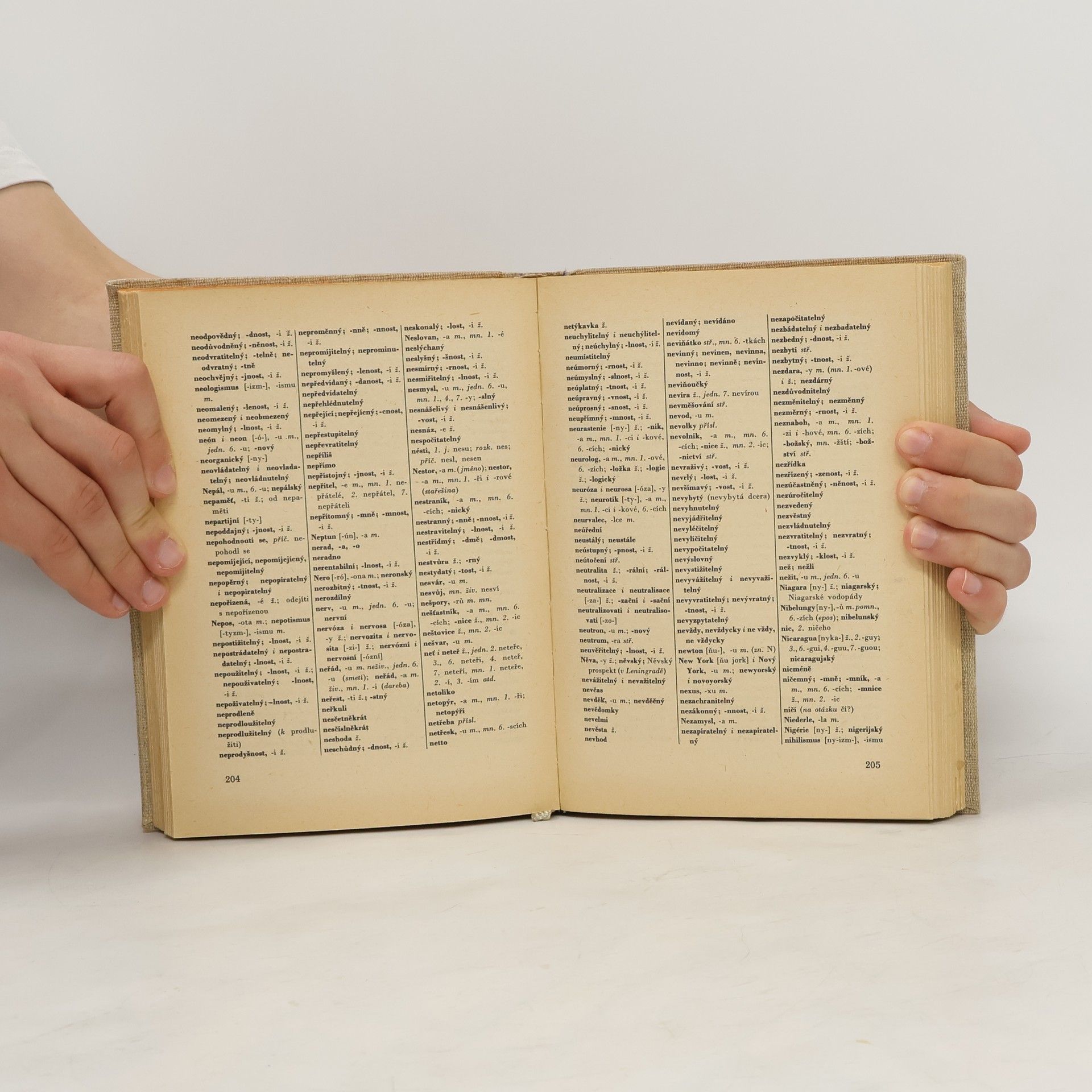 Various authors Pravidla českého pravopisu
