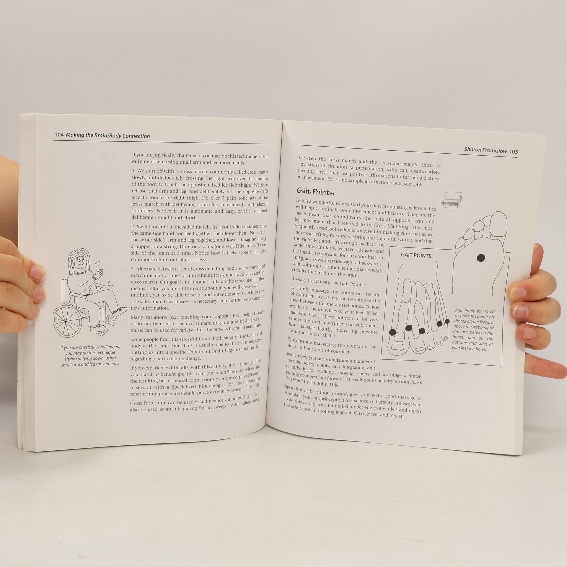 Sharon Promislow Making The Brain Body Connection