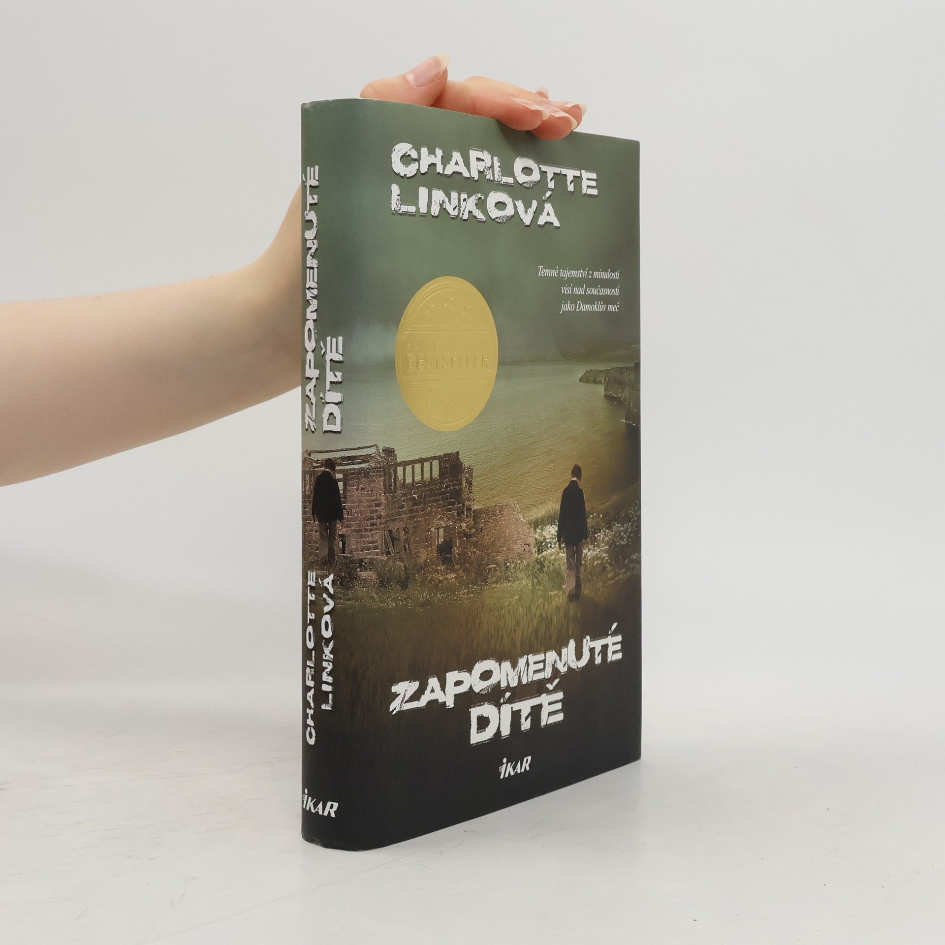 Charlotte Link Zapomenuté dítě