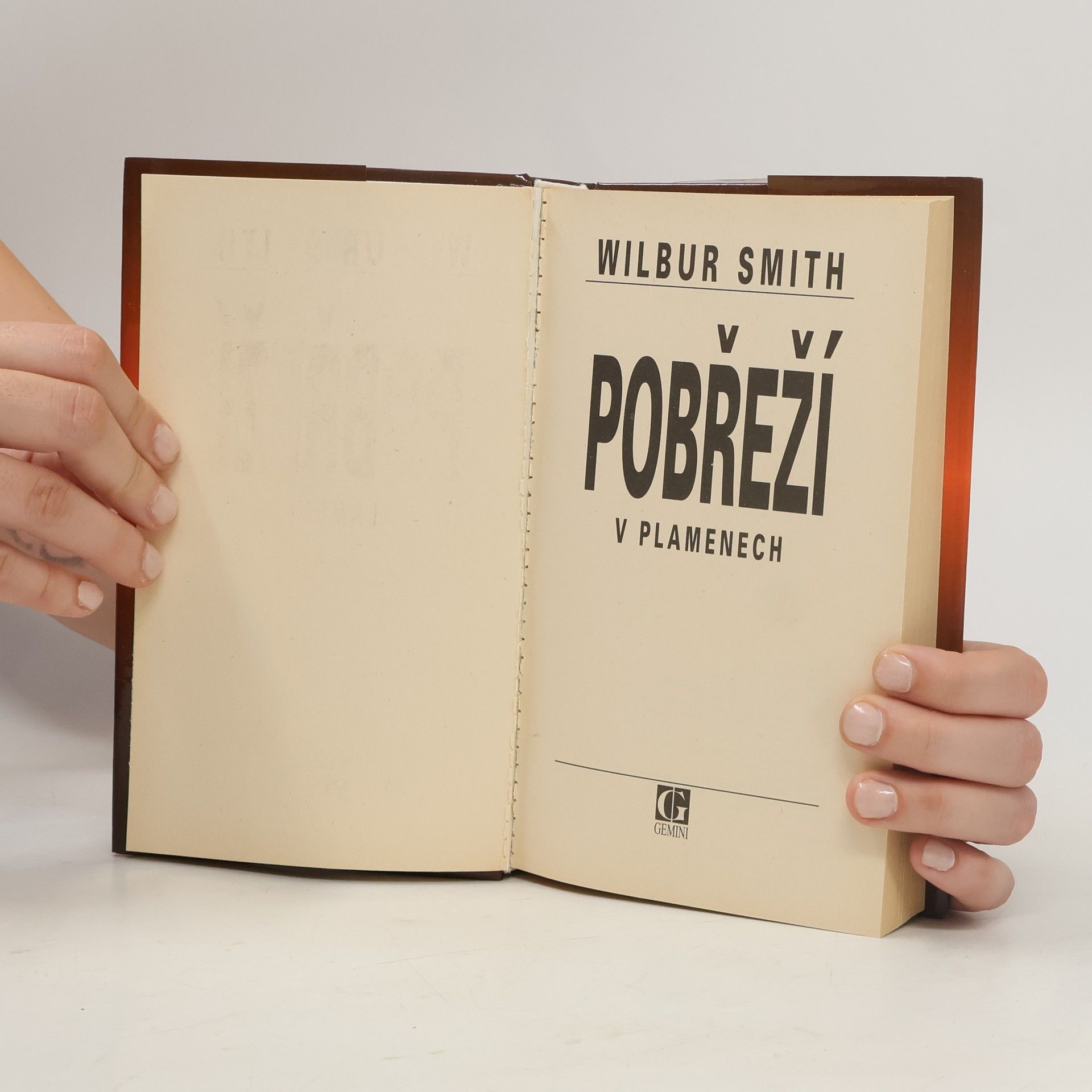 Wilbur Smith Pobřeží v plamenech